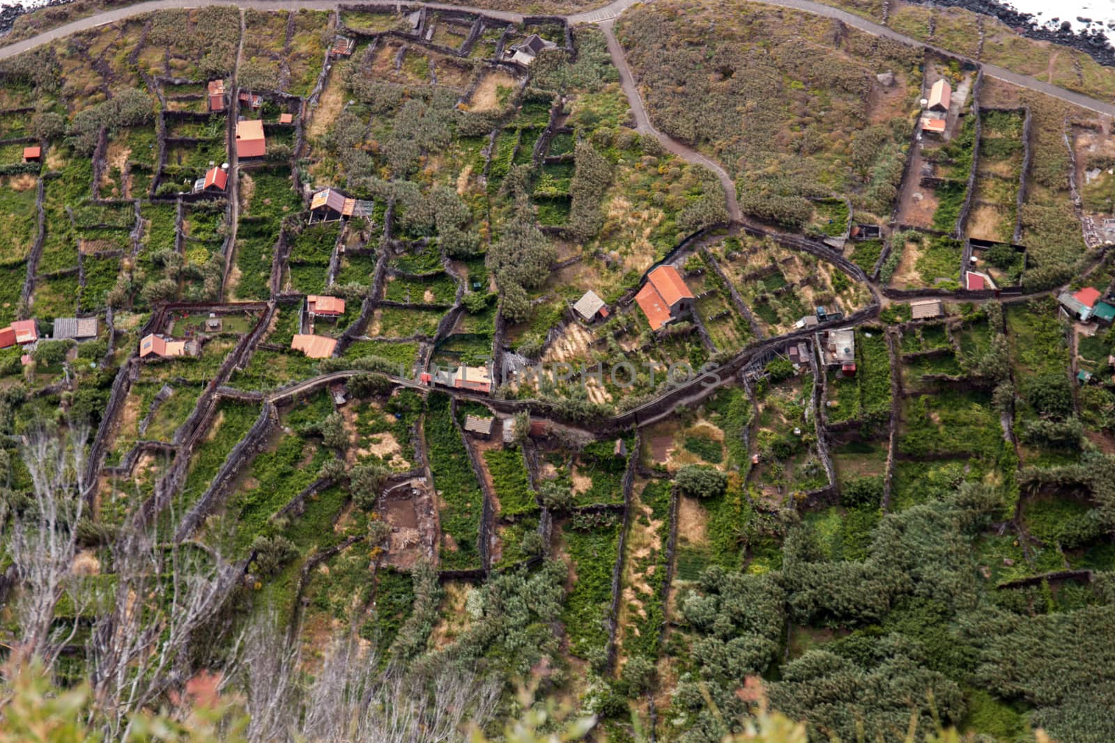 View of the famous Faja da Quebrada Nova viewpoint in Madeira island, Portugal.