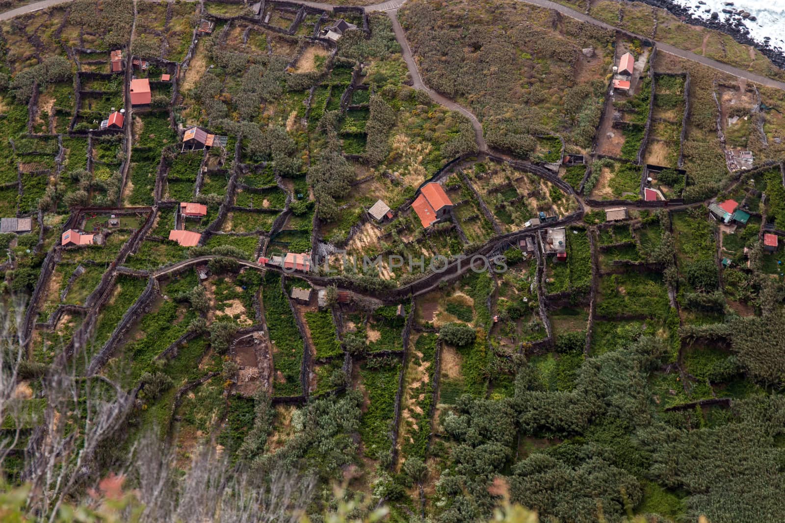 View of the famous Faja da Quebrada Nova viewpoint in Madeira island, Portugal.