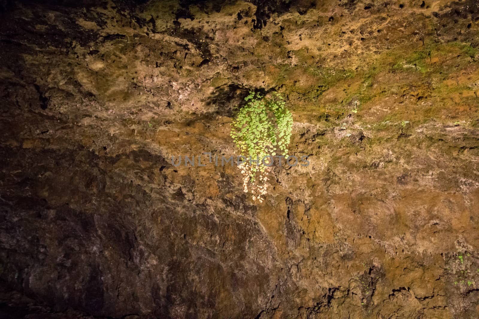 Volcanic Caves of Sao Vicente, located in Madeira island, Portugal.