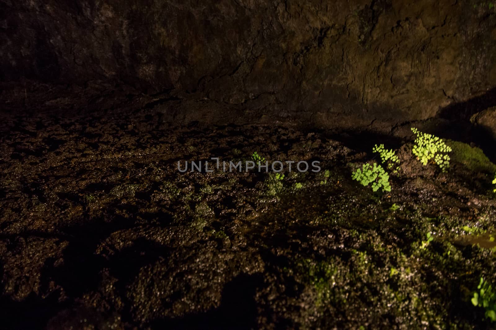 Volcanic Caves of Sao Vicente, located in Madeira island, Portugal.