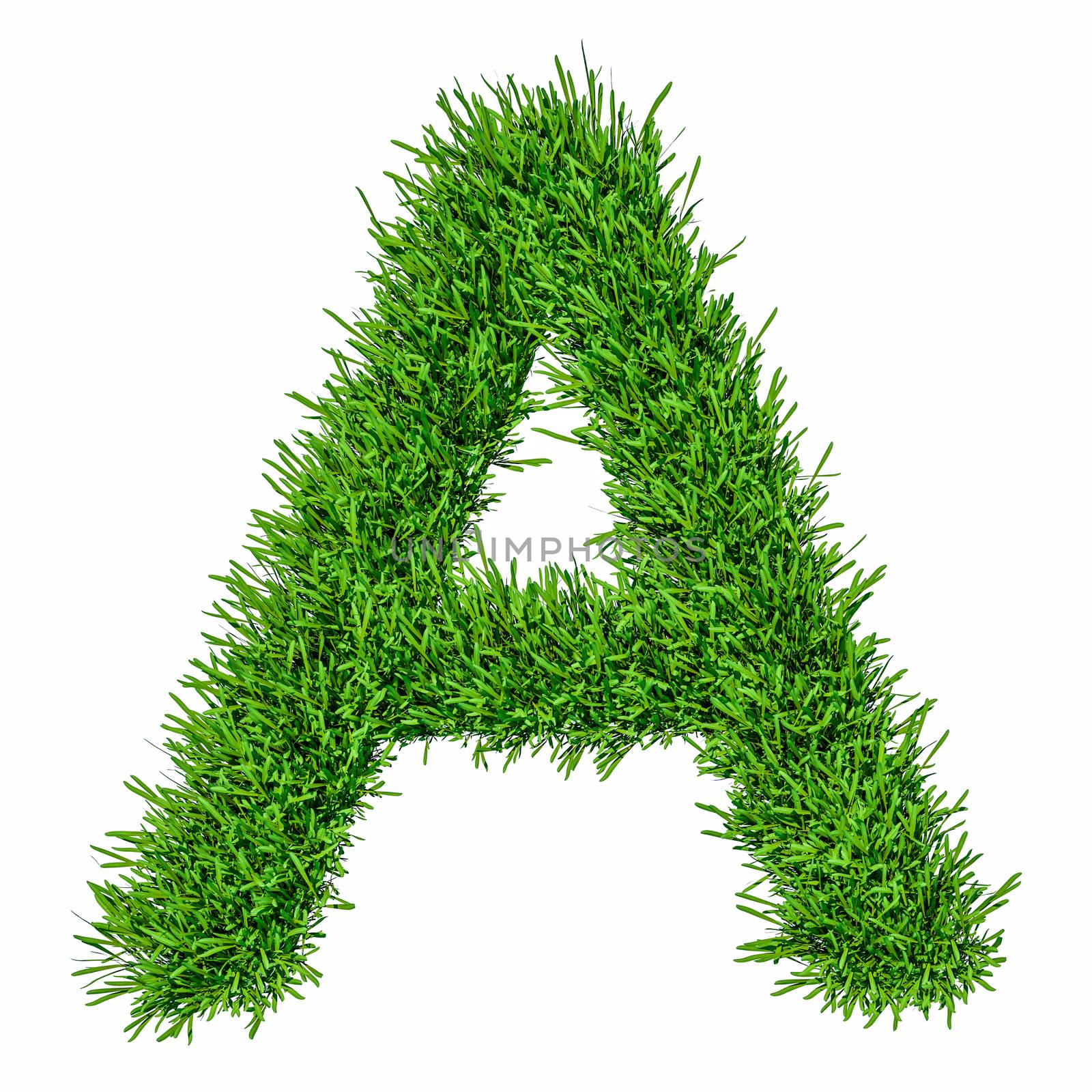 Letter of grass alphabet. 3d illustration by cherezoff