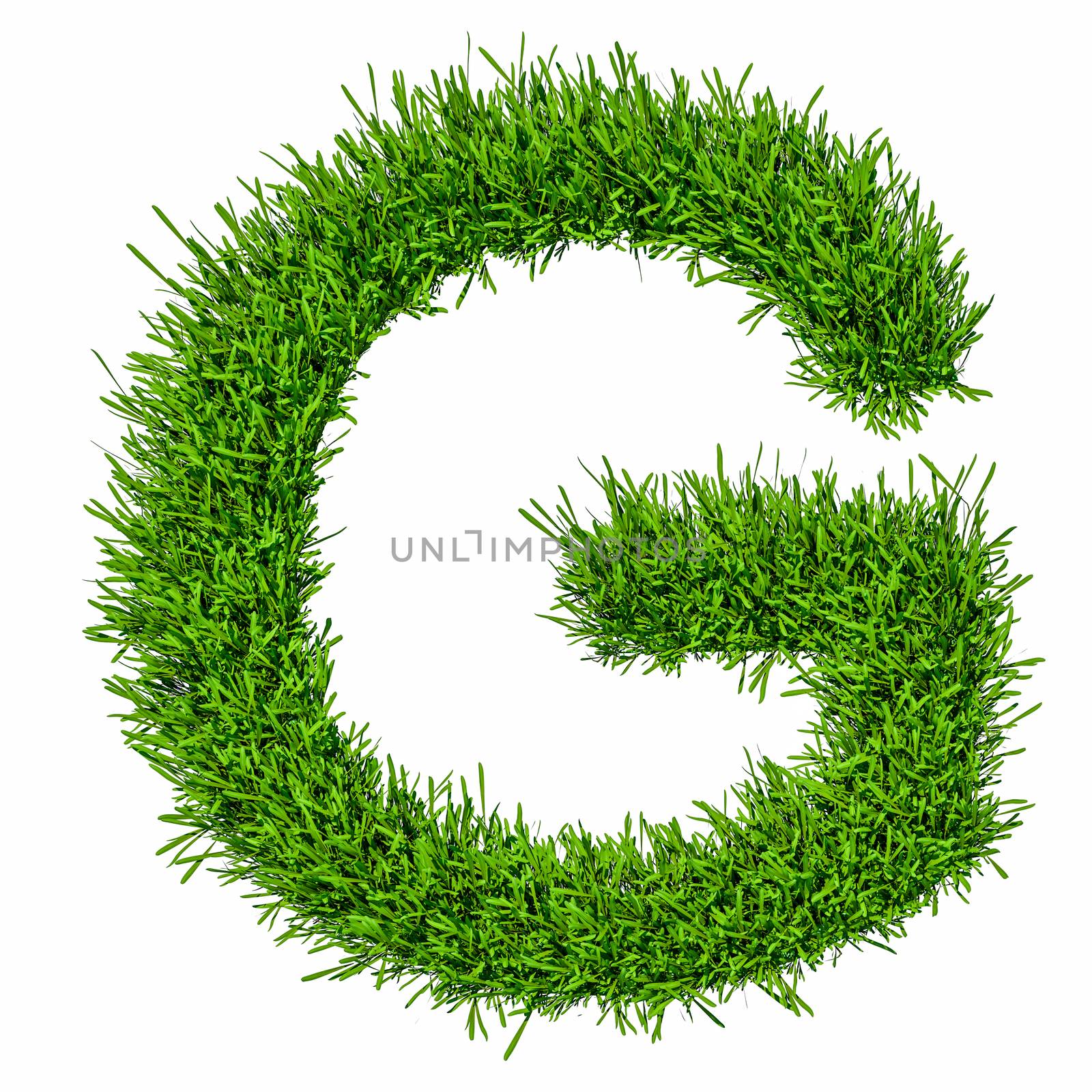 Letter of grass alphabet. Grass letter G isolated on white background. 3d illustration