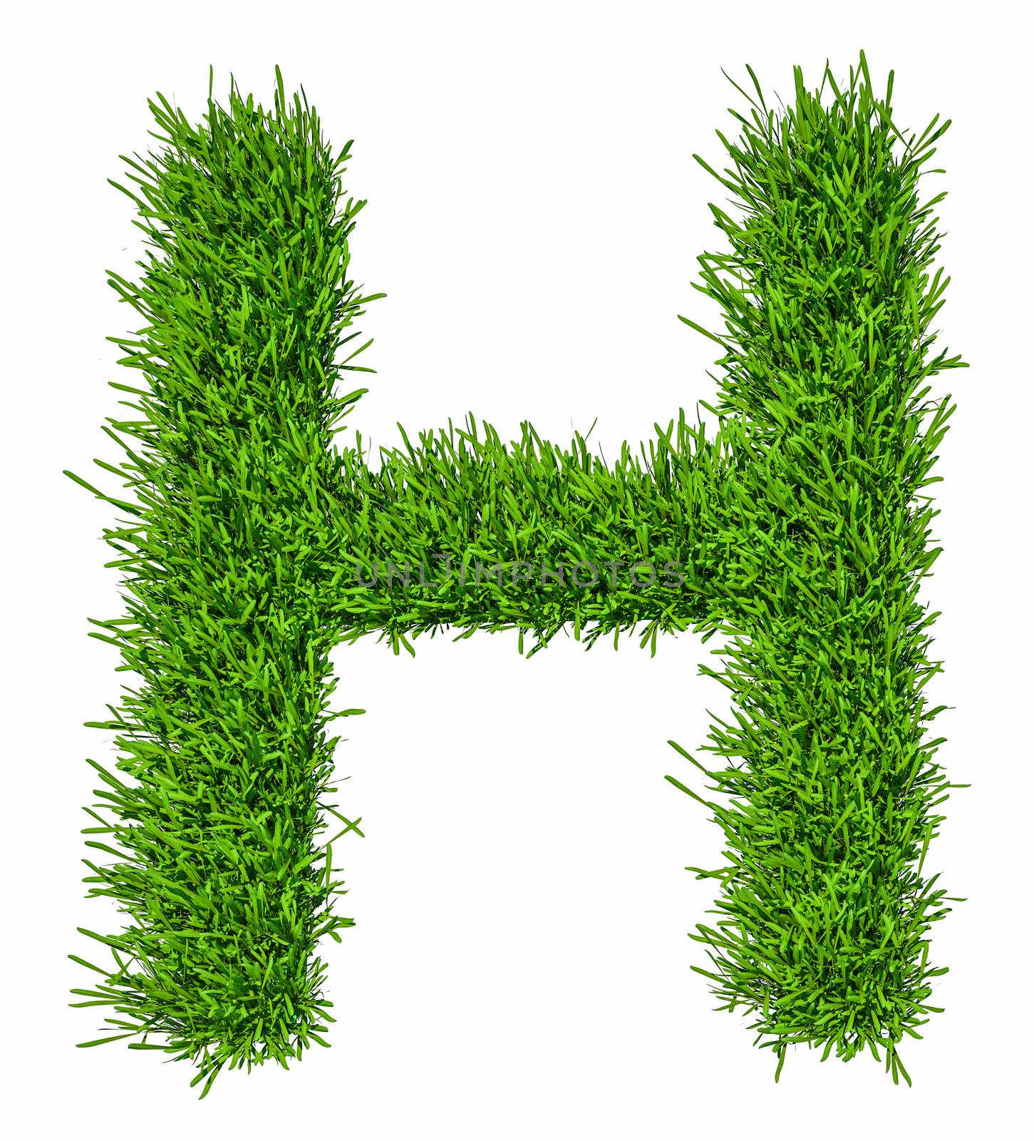 Letter of grass alphabet. Grass letter H isolated on white background. 3d illustration