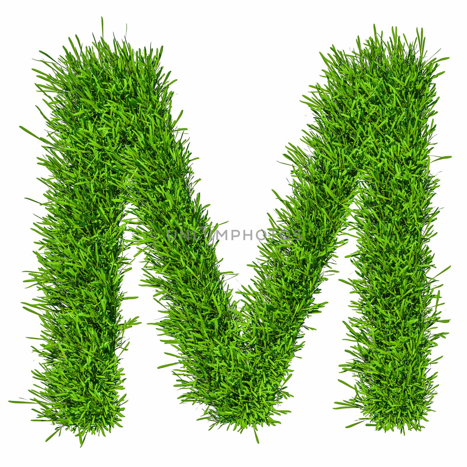 Letter of grass alphabet. 3d illustration by cherezoff