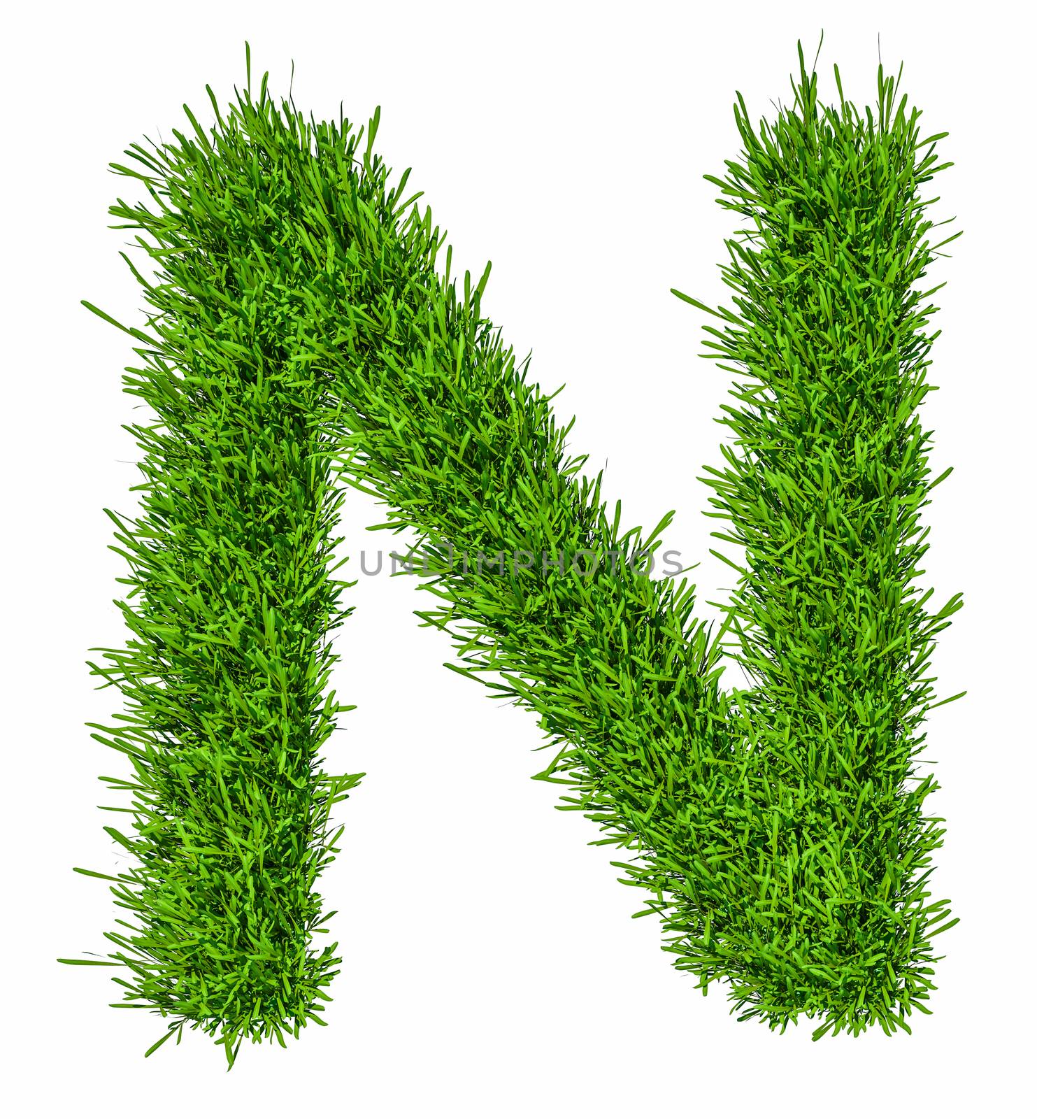 Letter of grass alphabet. Grass letter N isolated on white background. 3d illustration