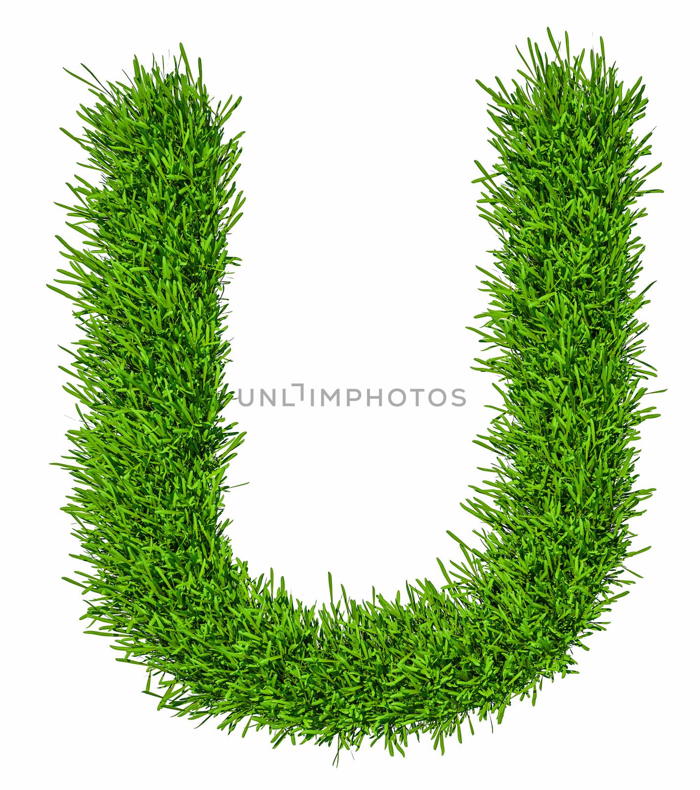 Letter of grass alphabet. Grass letter U isolated on white background. 3d illustration