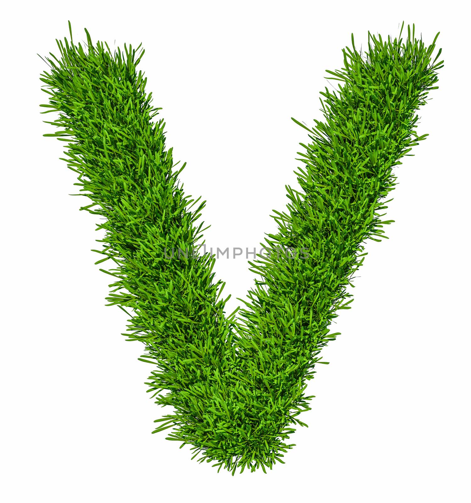 Letter of grass alphabet. Grass letter V isolated on white background. 3d illustration