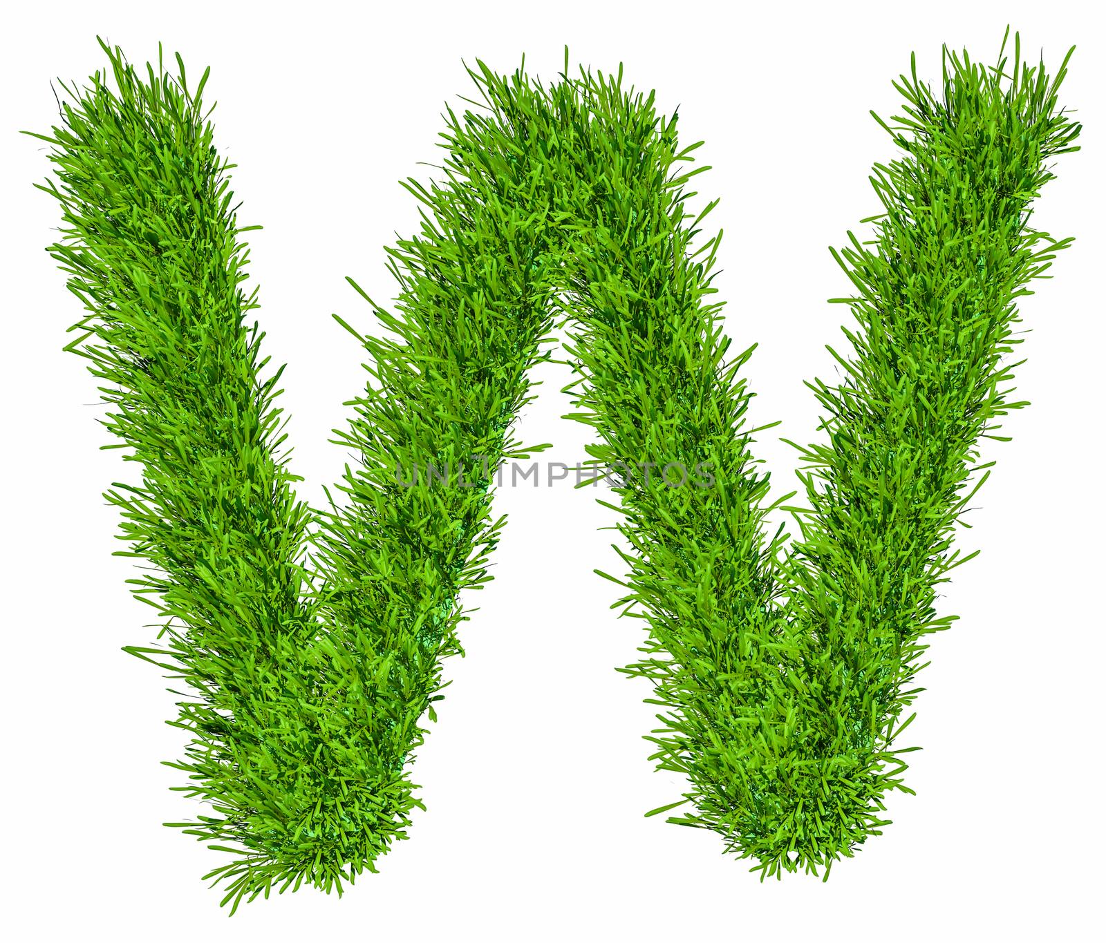 Letter of grass alphabet. Grass letter W isolated on white background. 3d illustration
