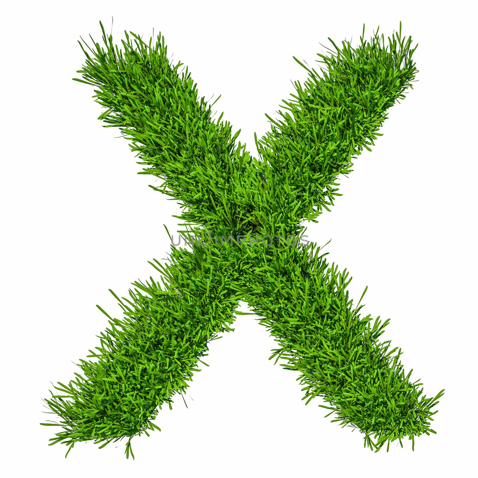 Letter of grass alphabet. Grass letter X isolated on white background. 3d illustration