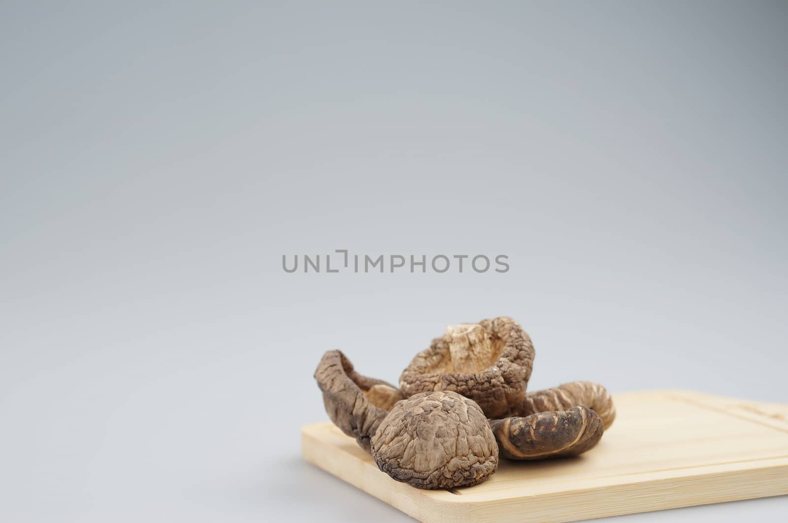 Dry Shitake mushroom or lentnus edodes place on wooden chopping board with white background and copy space.