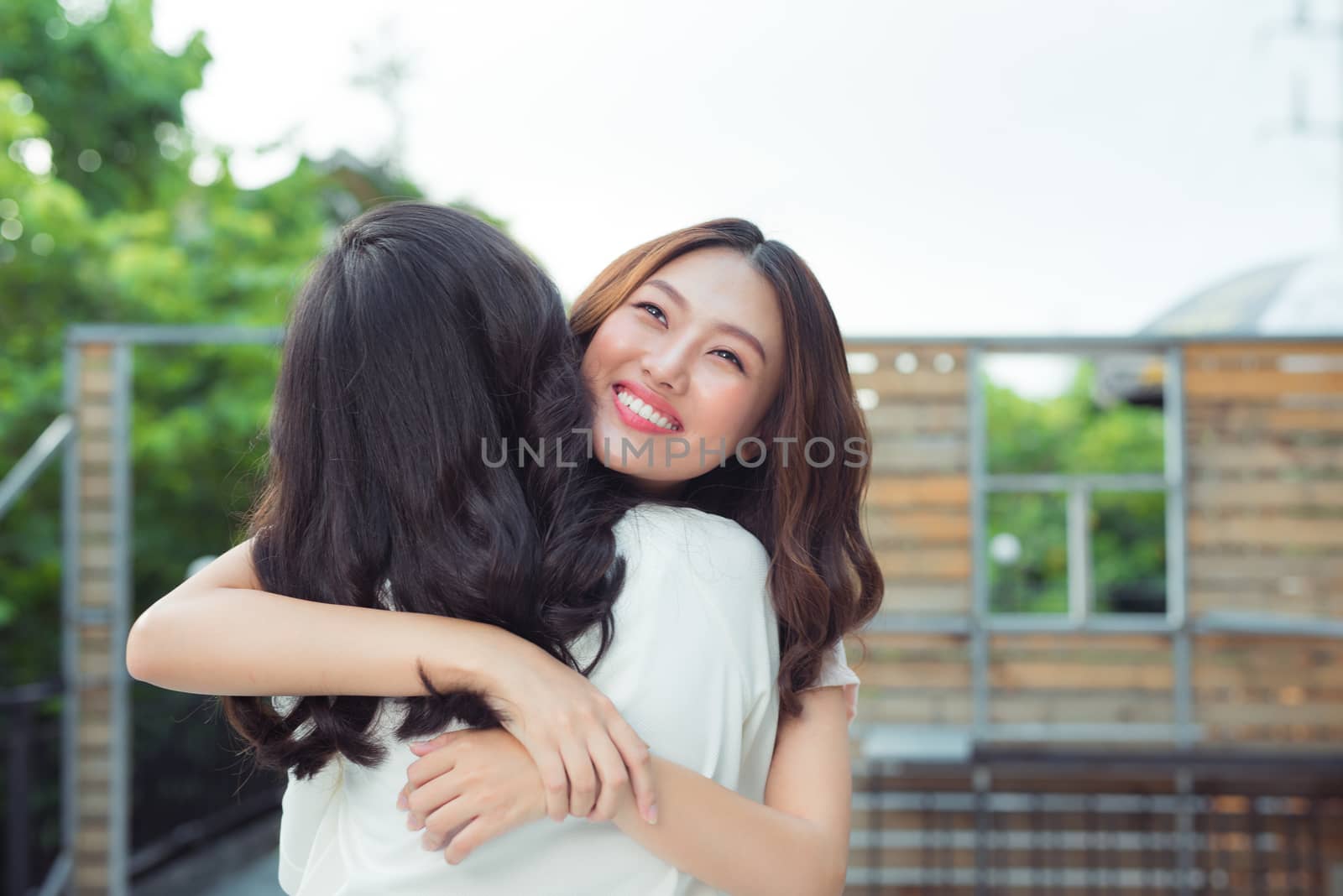 Asian sisters hugging and smiling in the park.