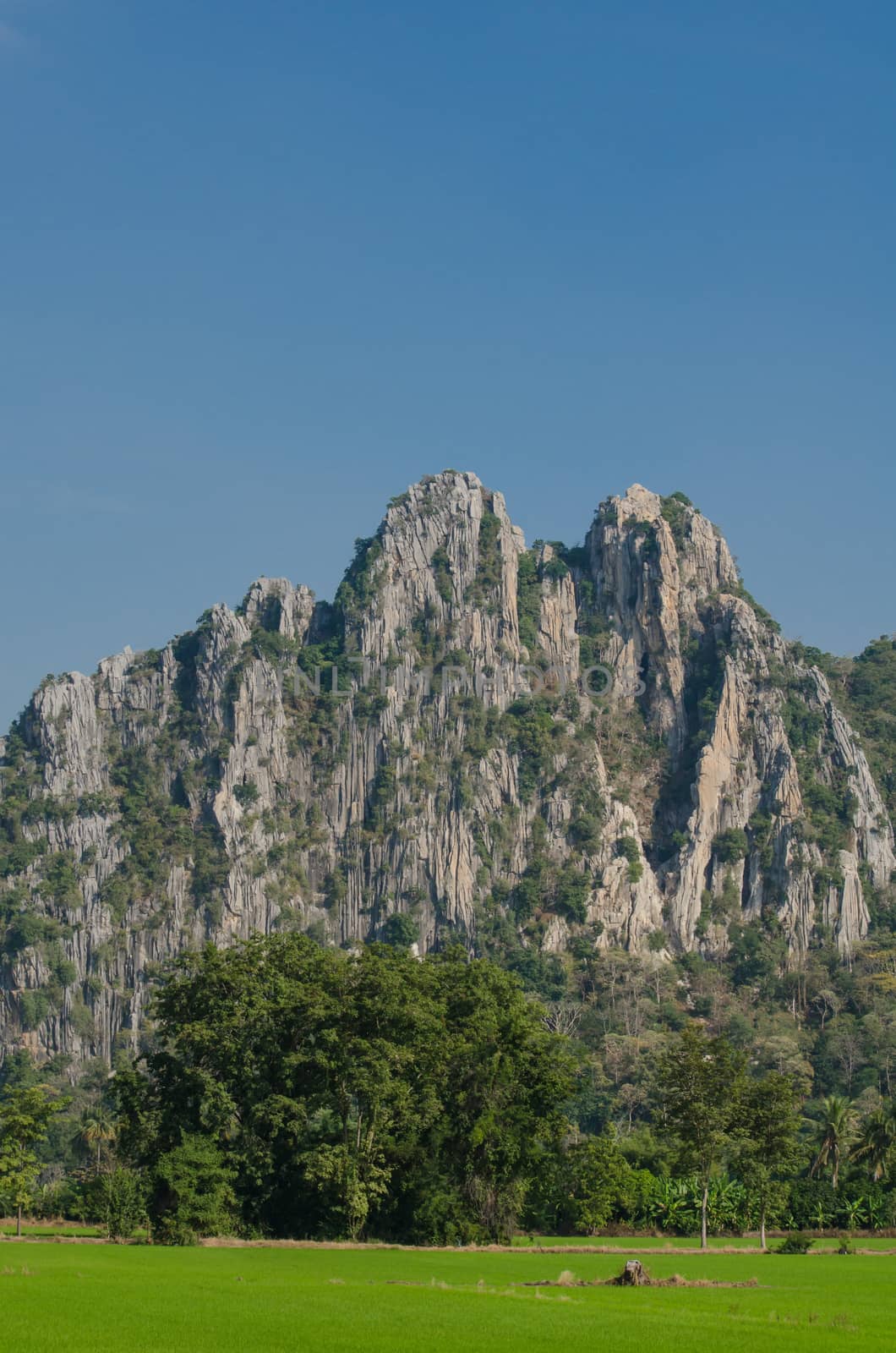 Kao Nor Kao Kawg is limestone mountain in Nakon sawan Province and have green paddy ,blue sky