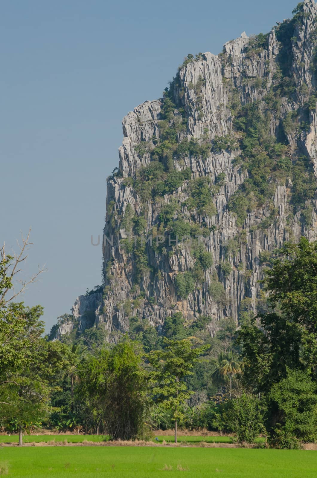 Kao Nor Kao Kawg is limestone mountain in Nakon sawan Province and have green paddy ,blue sky