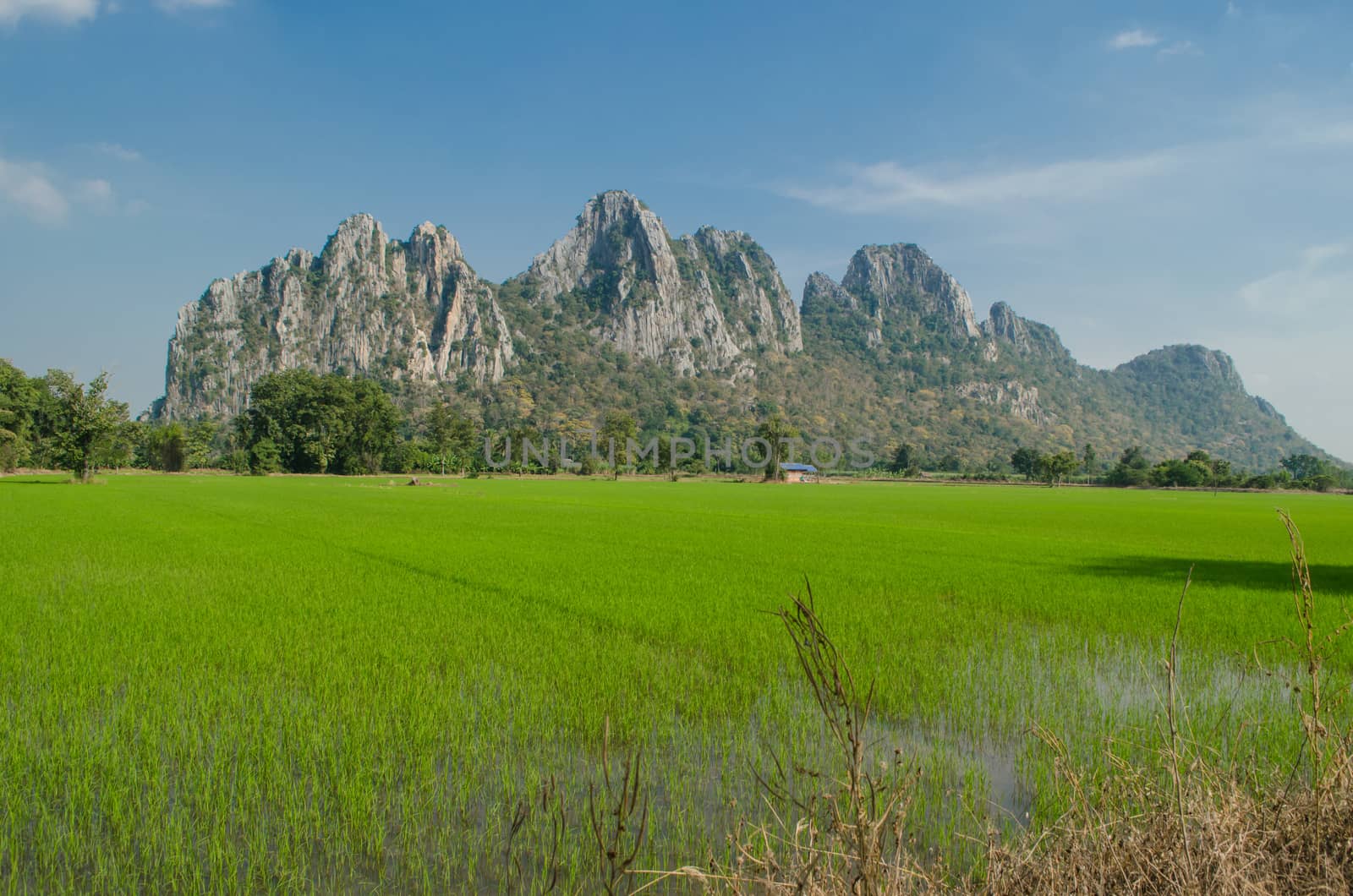 Kao Nor Kao Kawg is limestone mountain in Nakon sawan Province and have green paddy ,blue sky