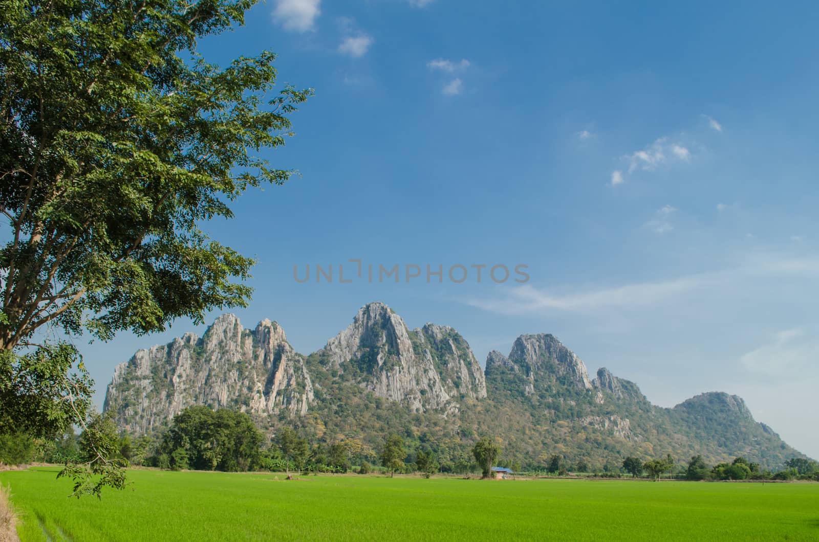 Kao Nor Kao Kawg is limestone mountain in Nakon sawan Province and have green paddy ,blue sky