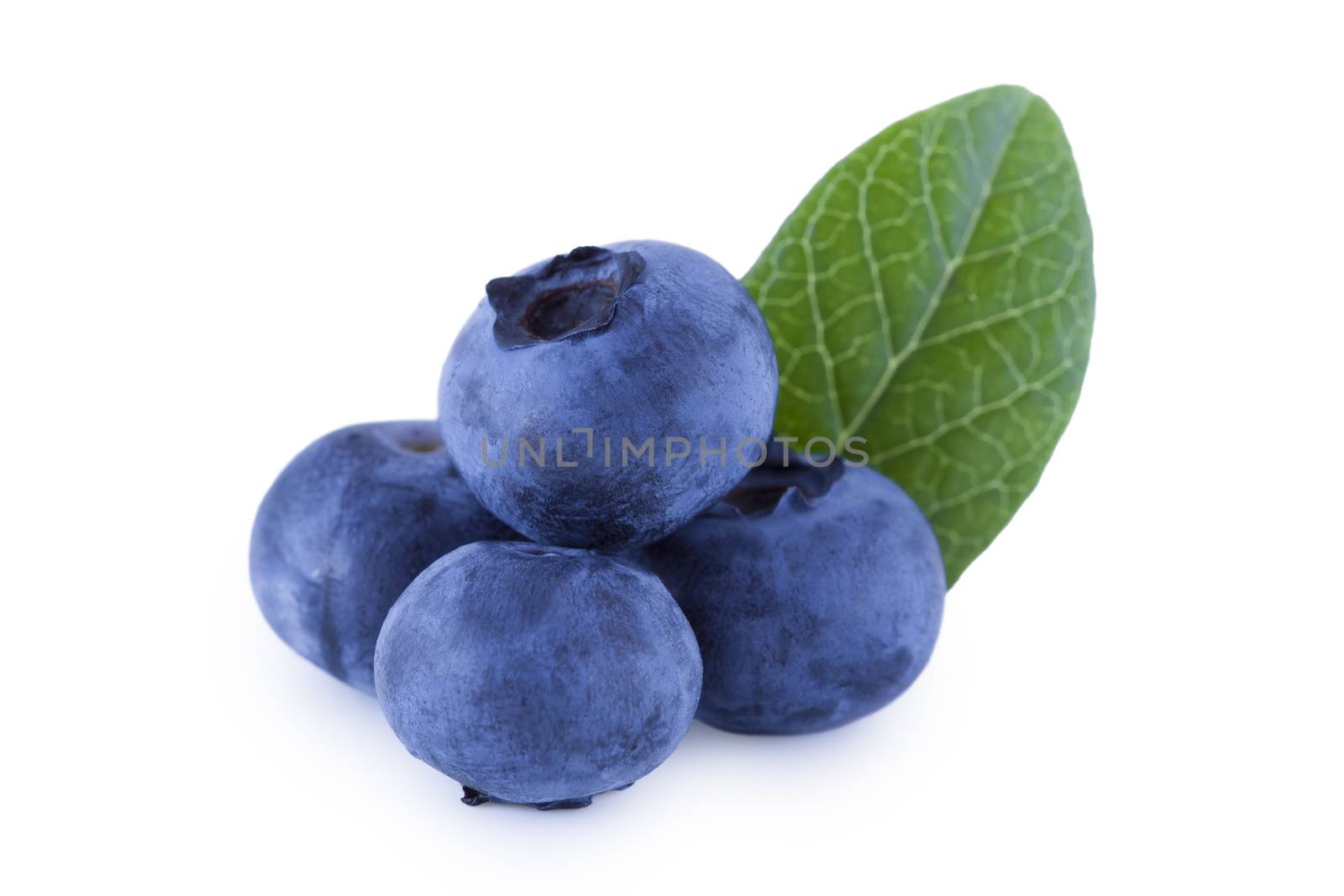 Four blueberries isolated on white by Gbuglok