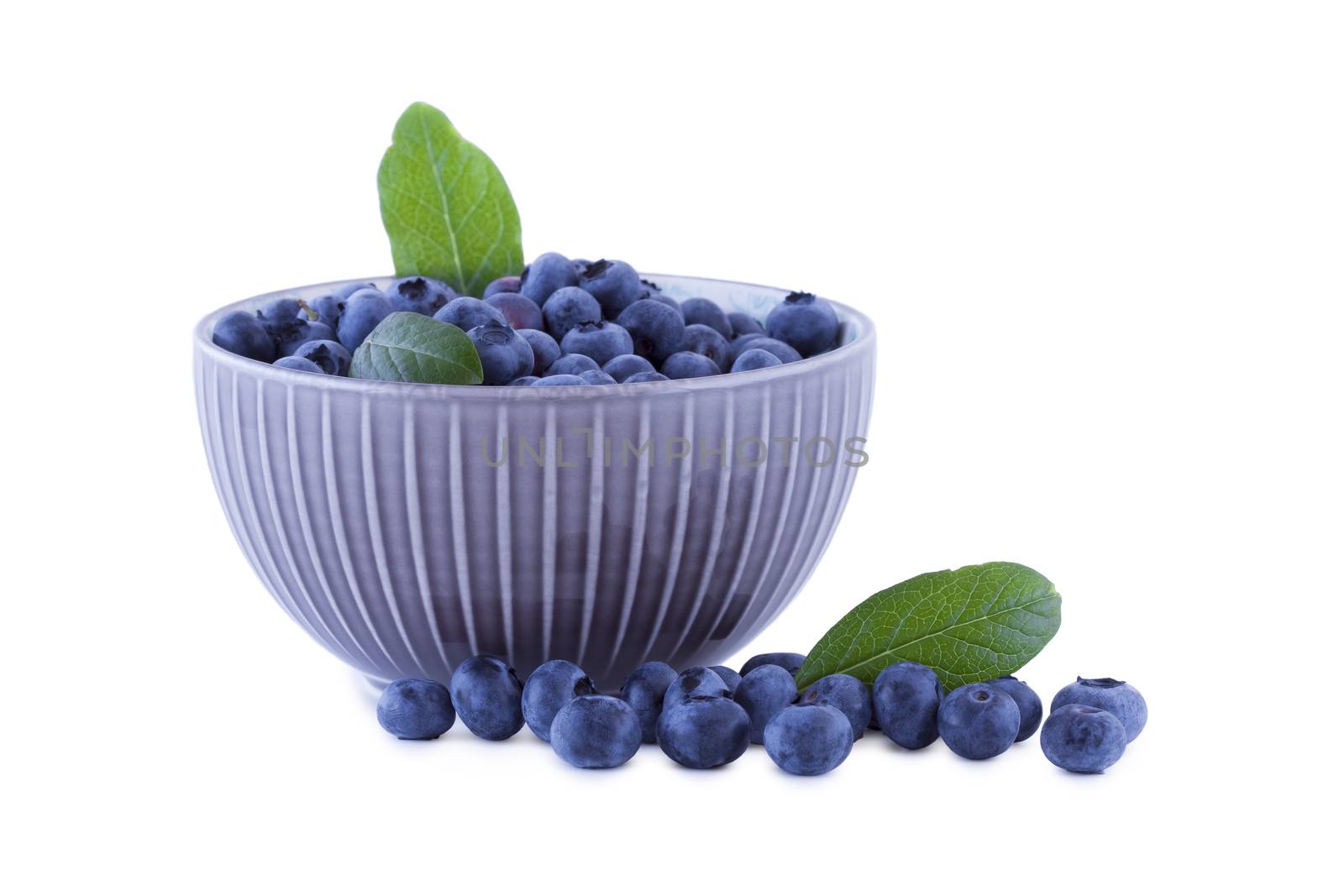 Blueberries in a porcelain bowl, fruits isolated on white background