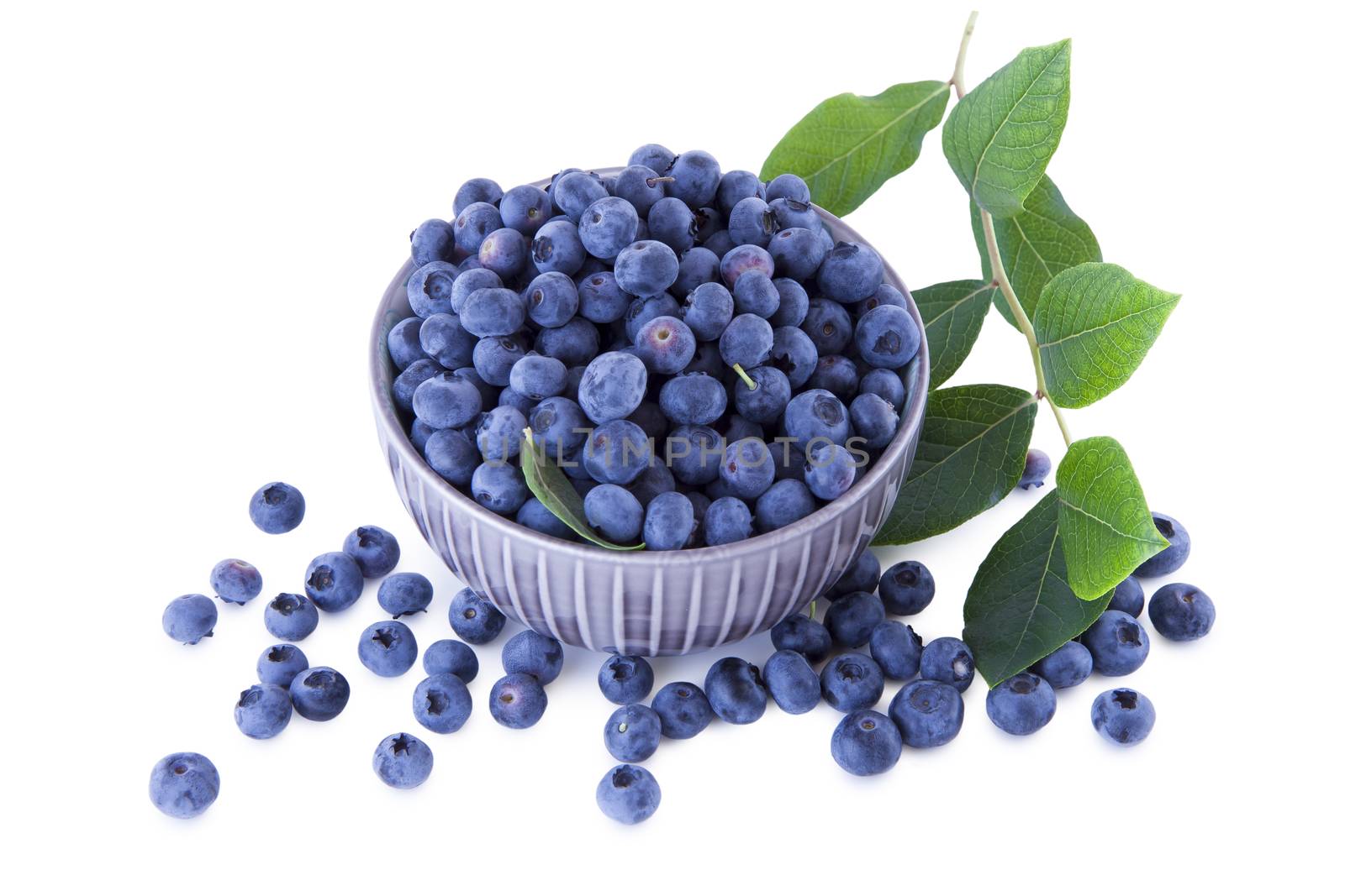 Fresh blueberries in a bowl by Gbuglok