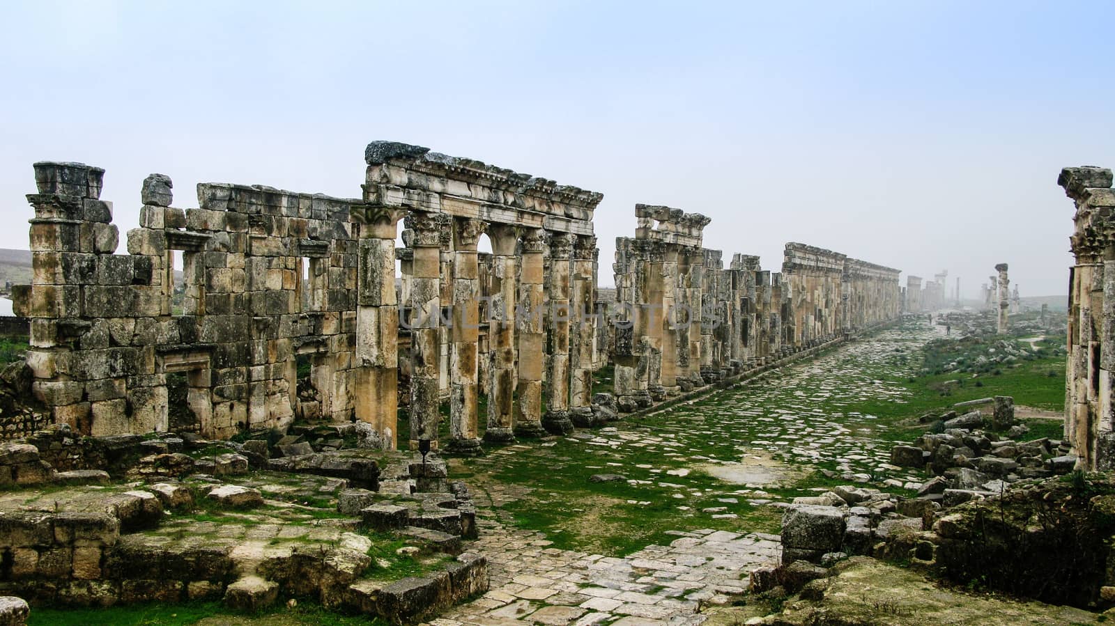 Great Colonnade at Apamea in fog, partially destroyed by ISIS, Syria