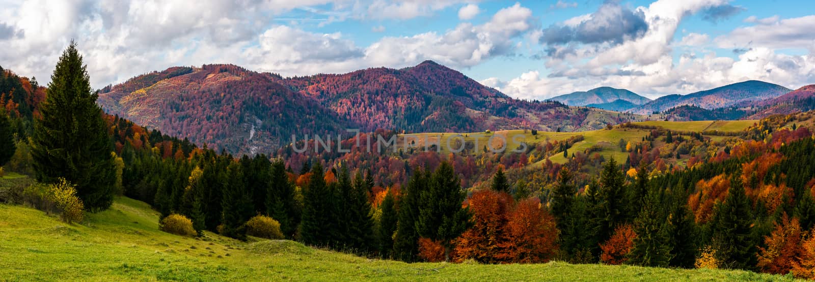 beautiful panorama of mountainous rural area by Pellinni