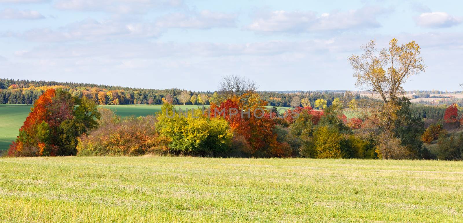 Autumn landscape with fall colored trees by artush