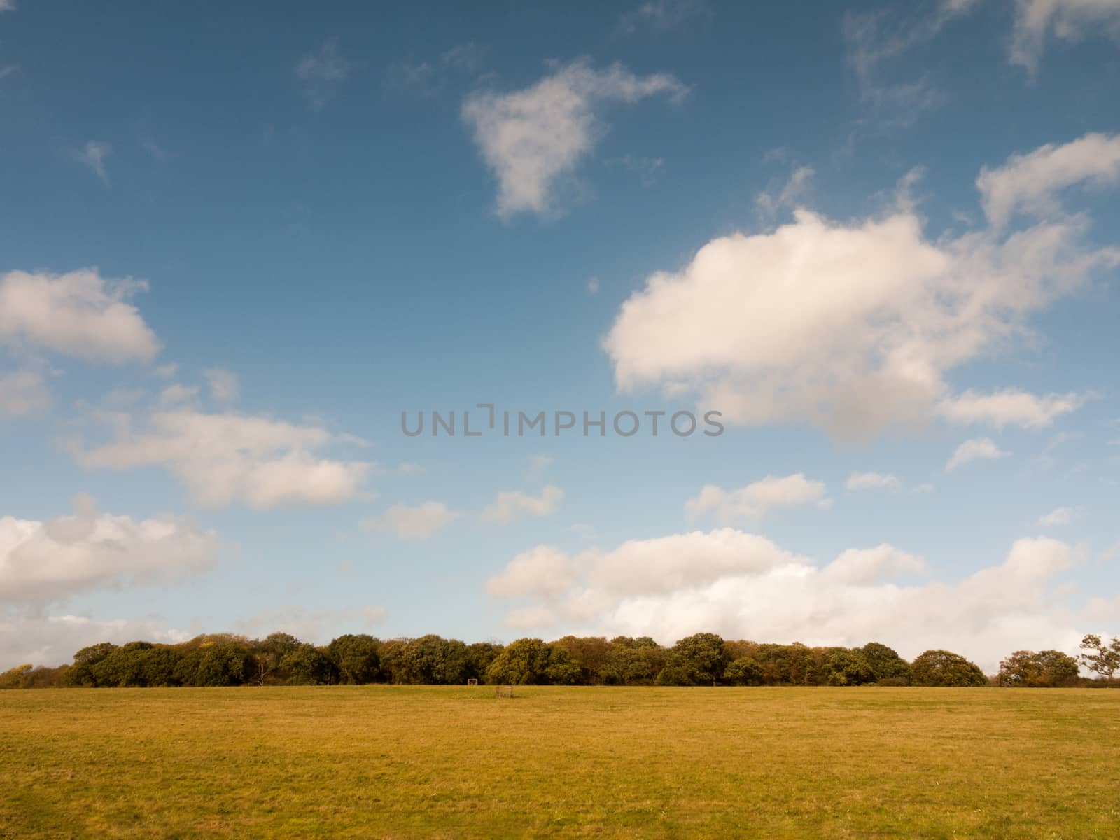 beautiful empty farm plain flat grass land tree line and blue sky; essex; england; uk with clouds background