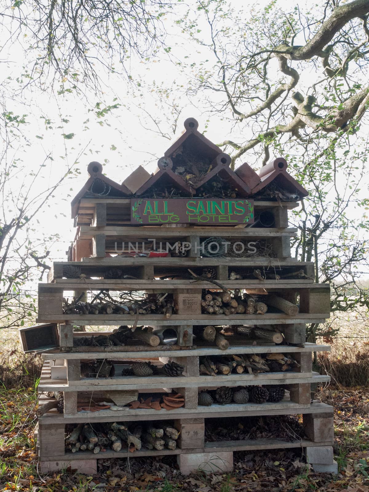 wood crate bug house 'bug hotel' in garden ; essex; england; uk