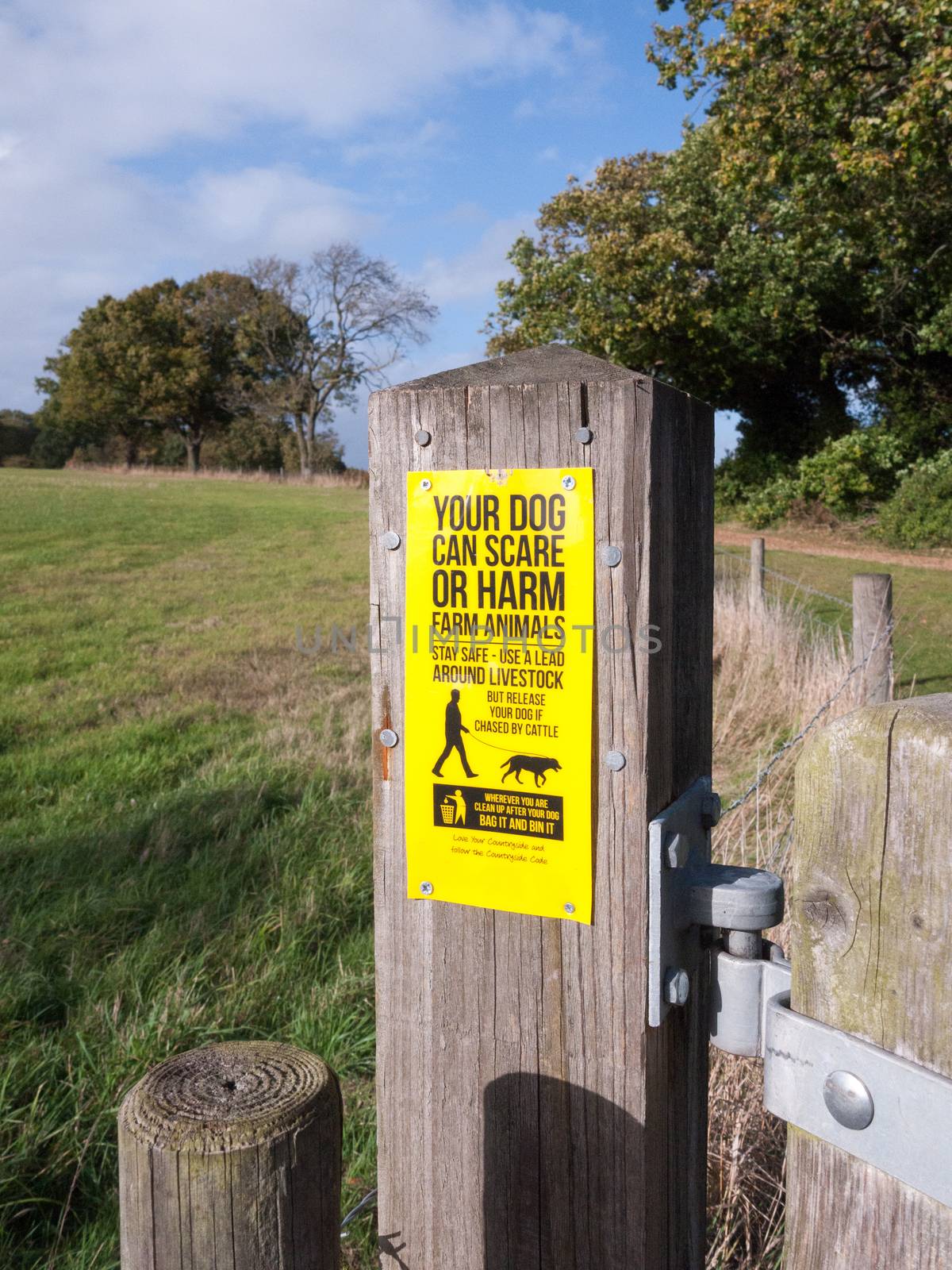 farm dog sign warning scare or harm farm animals yellow wooden post gate; essex; england; uk