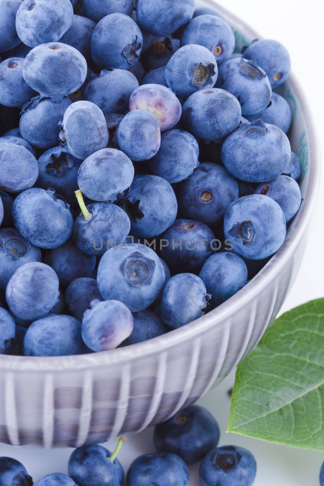 Fresh blueberries in a bowl, fruits on white background