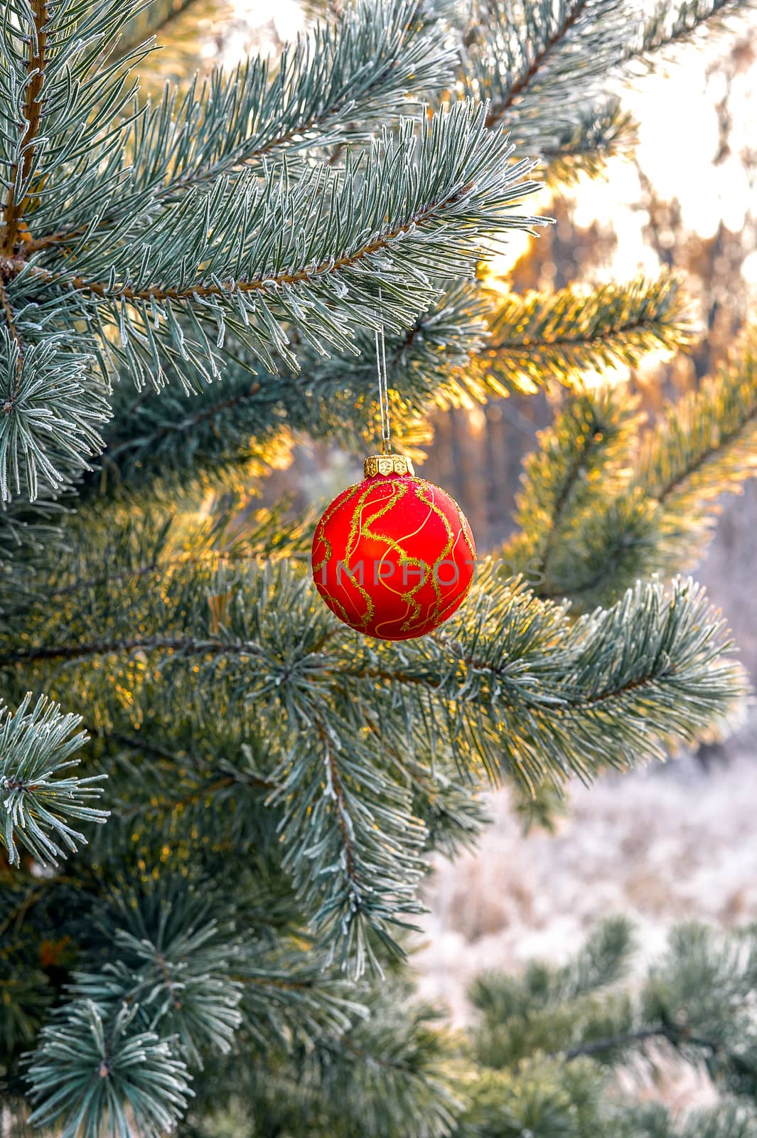 The branches of Christmas trees, toy.