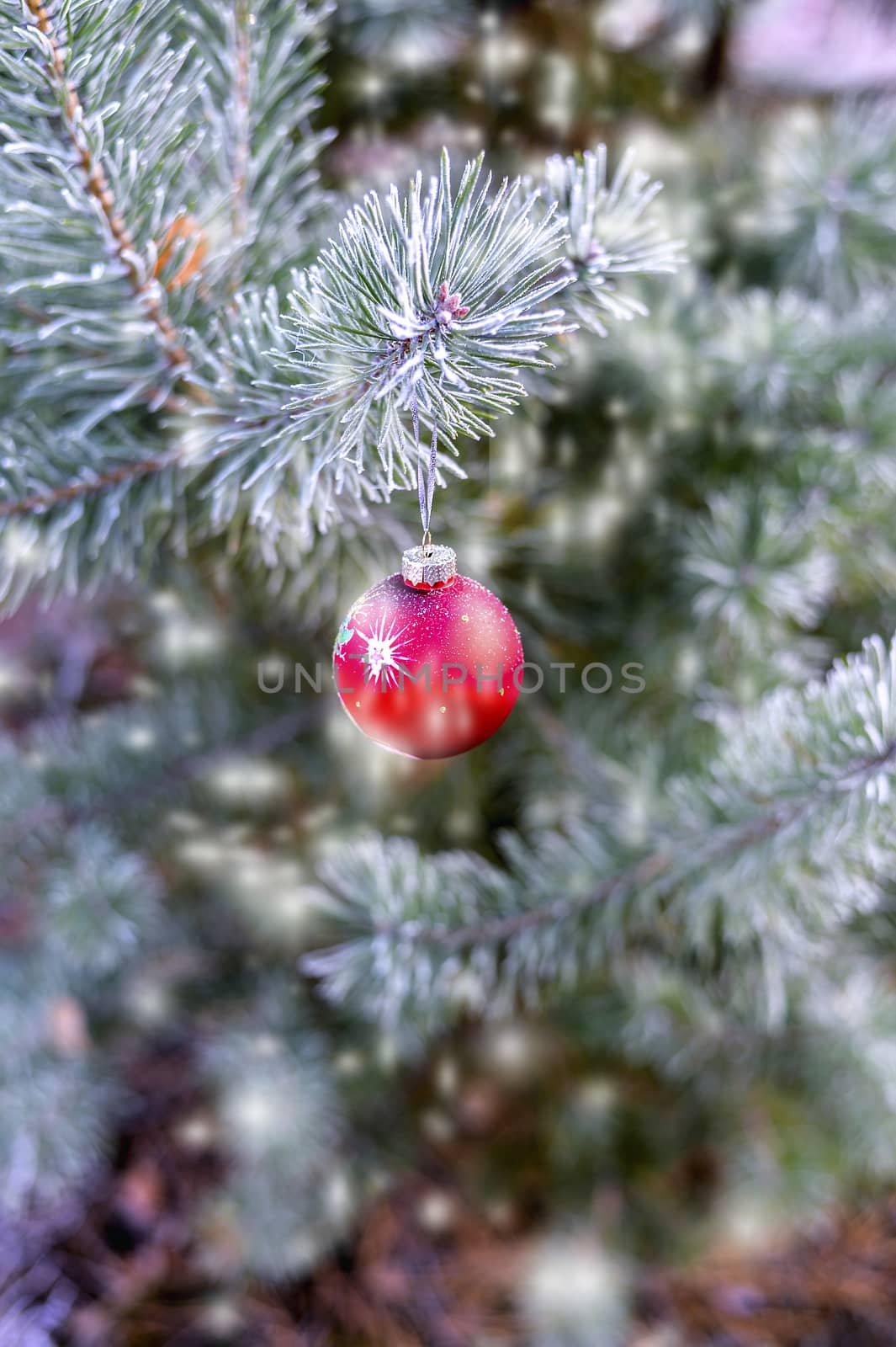 The branches of Christmas trees, toy.