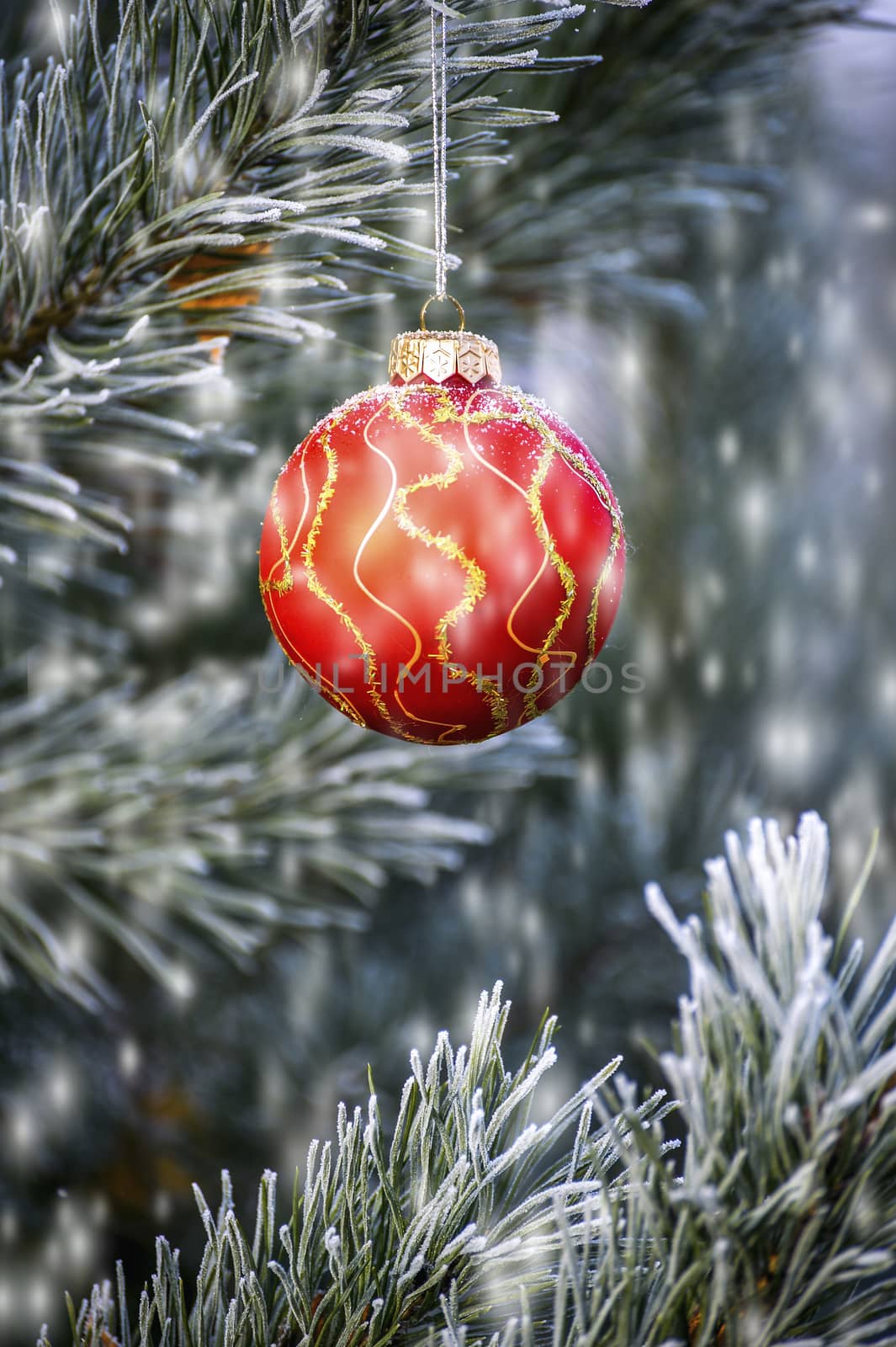 The branches of Christmas trees, toy.