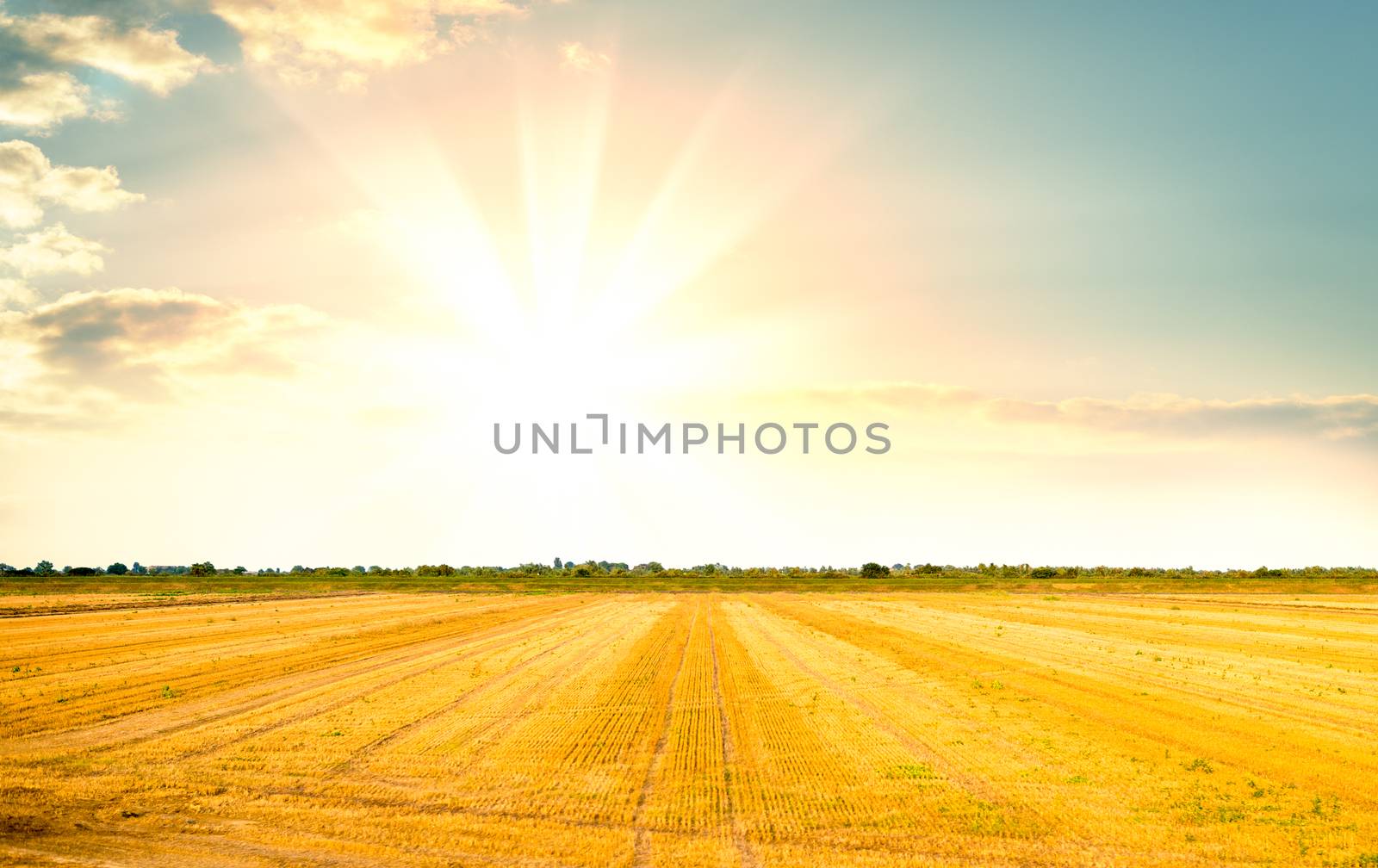 Sunrise over fields and distant woods. Beautiful background