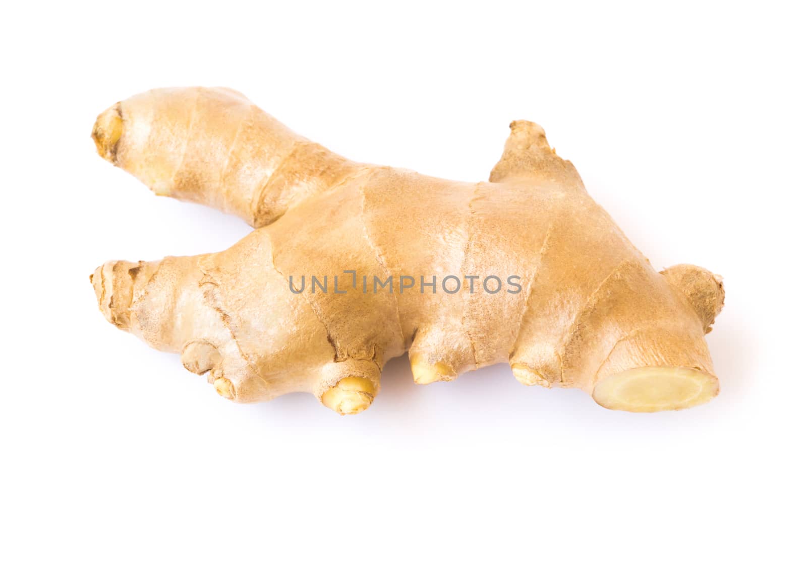 Fresh ginger root on white background for herb and medical product concept