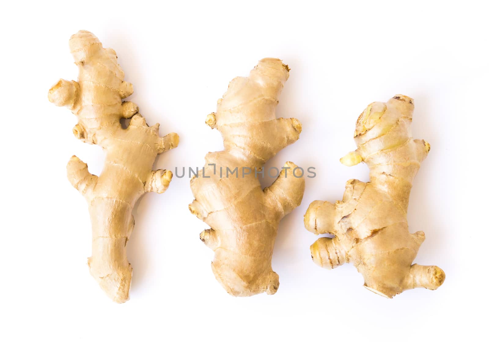 Fresh ginger roots on white background for herb and medical product concept, top view