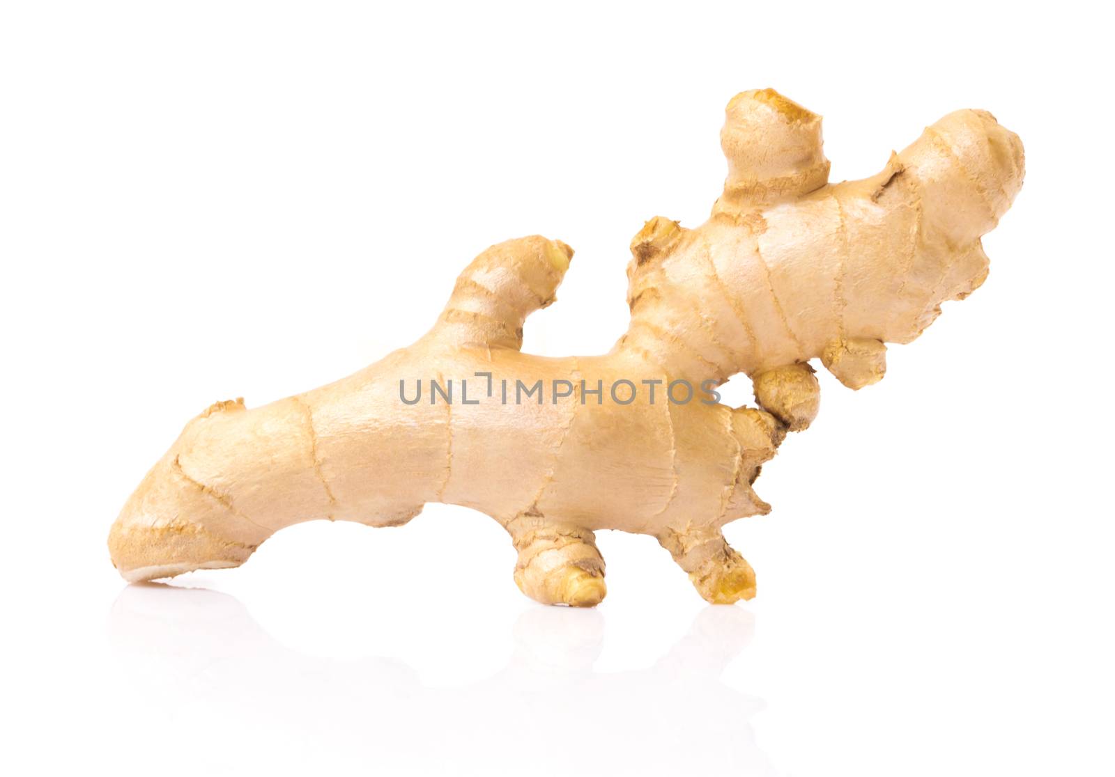 Fresh ginger root on white background for herb and medical product concept