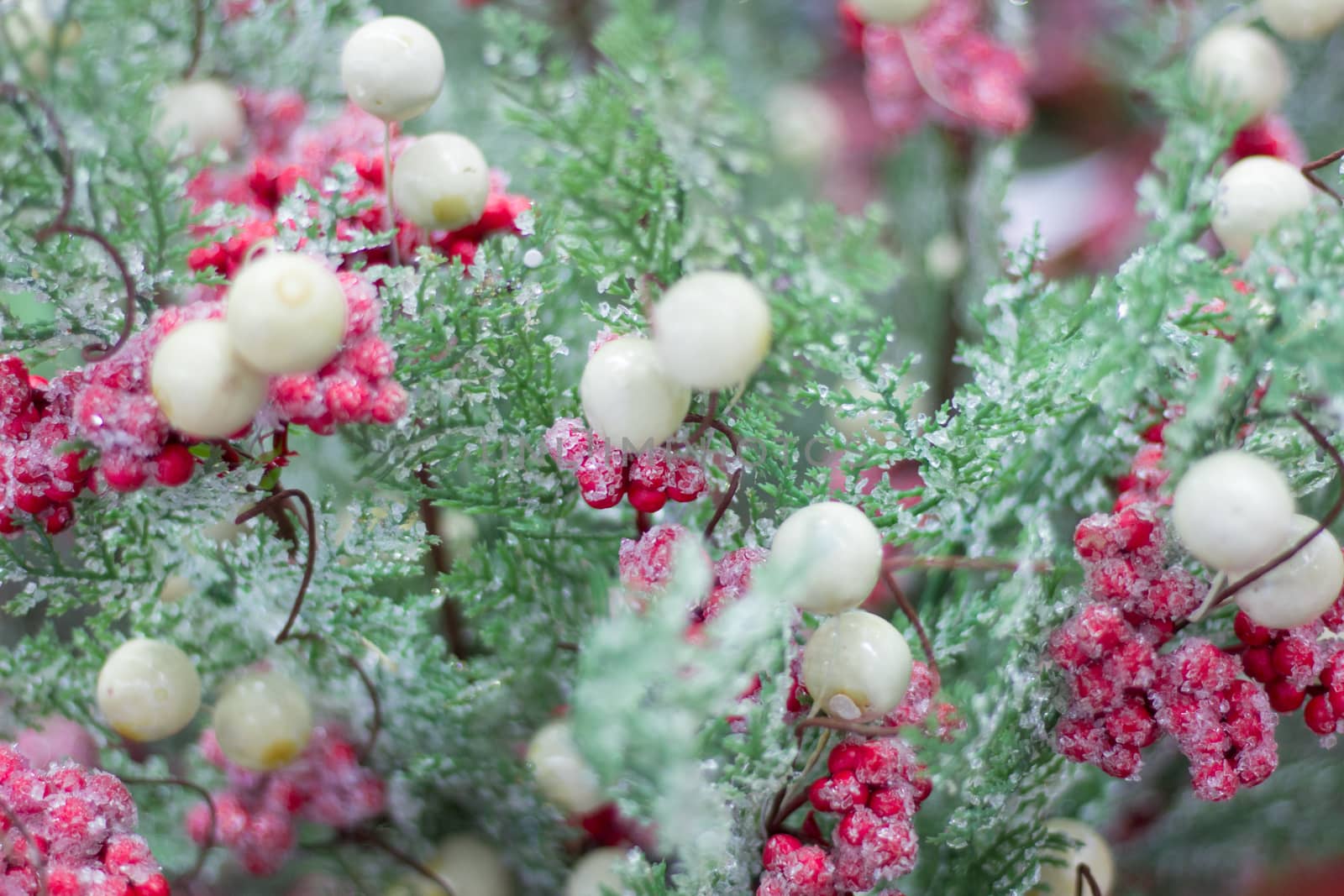 Christmas and New Year winter seasonal snow tree with pink and white berries