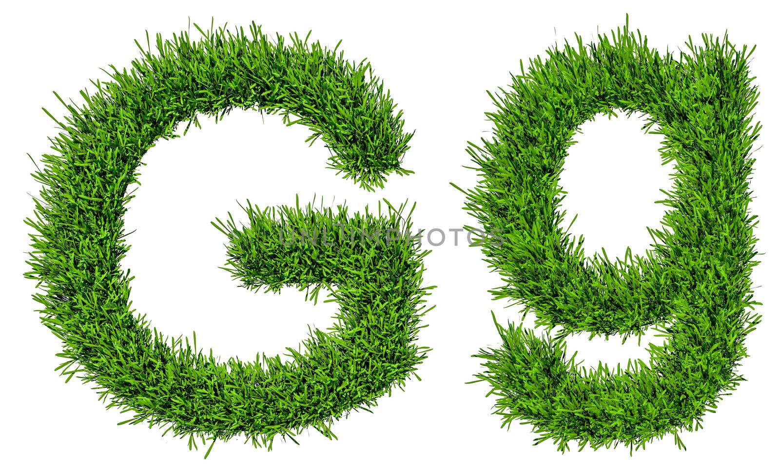 Letter of grass alphabet. Grass letter G, upper and lowercase. Isolated on white background. 3d illustration