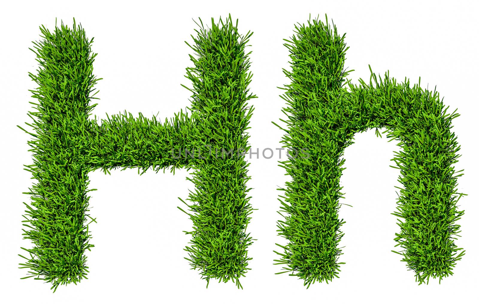 Letter of grass alphabet. Grass letter H, upper and lowercase. Isolated on white background. 3d illustration