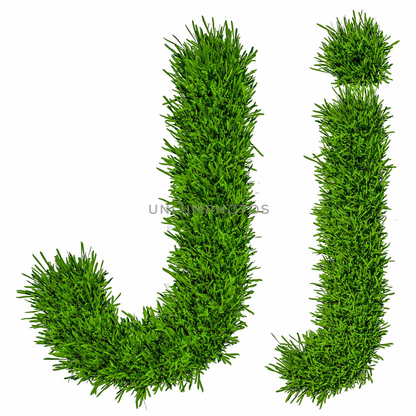 Letter of grass alphabet. Grass letter J, upper and lowercase. Isolated on white background. 3d illustration