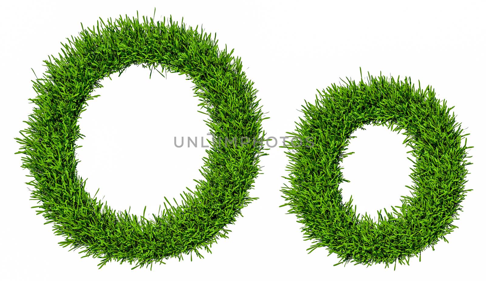 Letter of grass alphabet. Grass letter O, upper and lowercase. Isolated on white background. 3d illustration