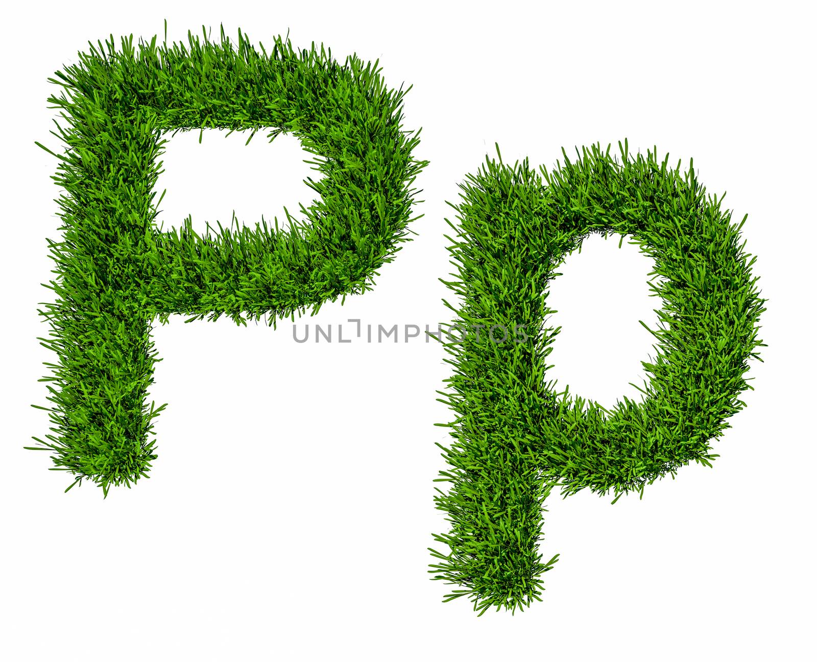 Letter of grass alphabet. Grass letter P, upper and lowercase. Isolated on white background. 3d illustration