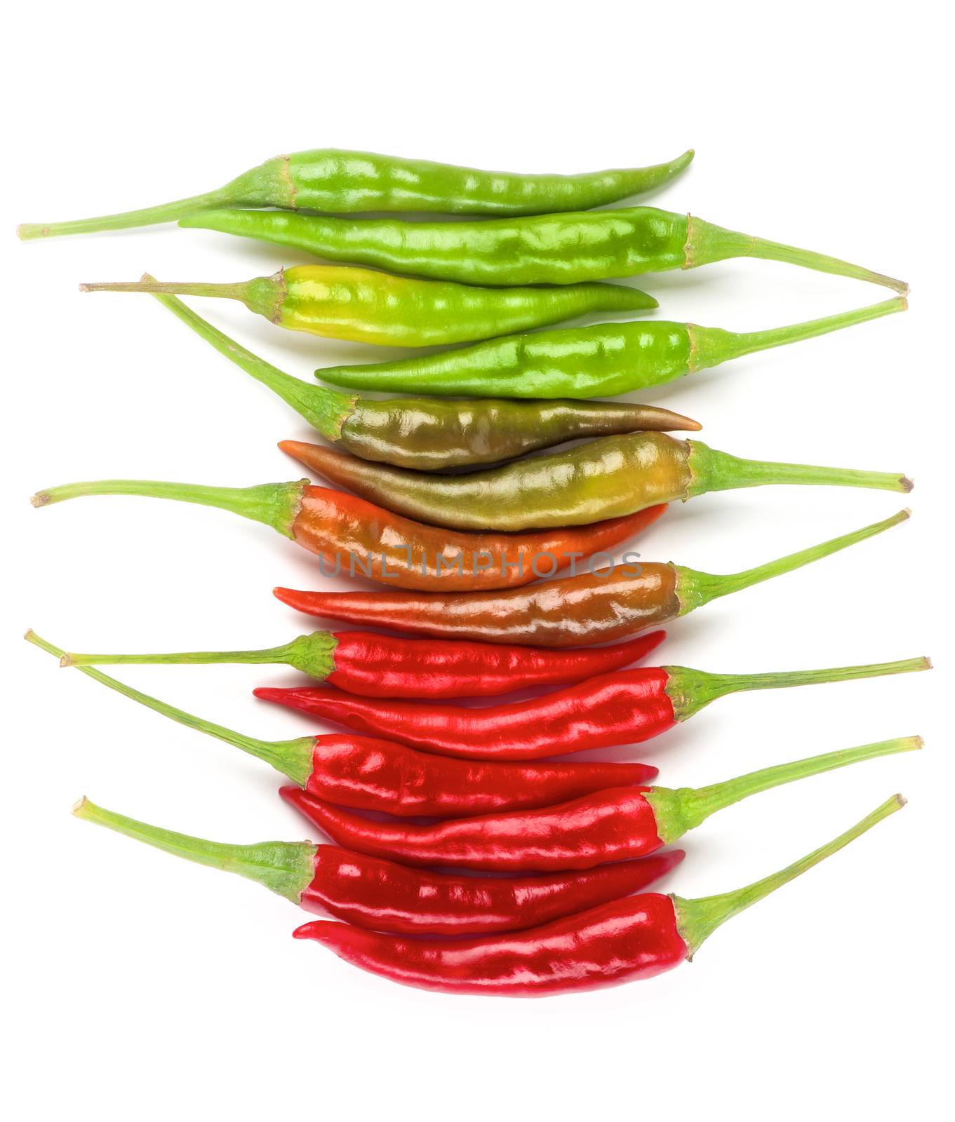 Arrangement of Chili Peppers by zhekos