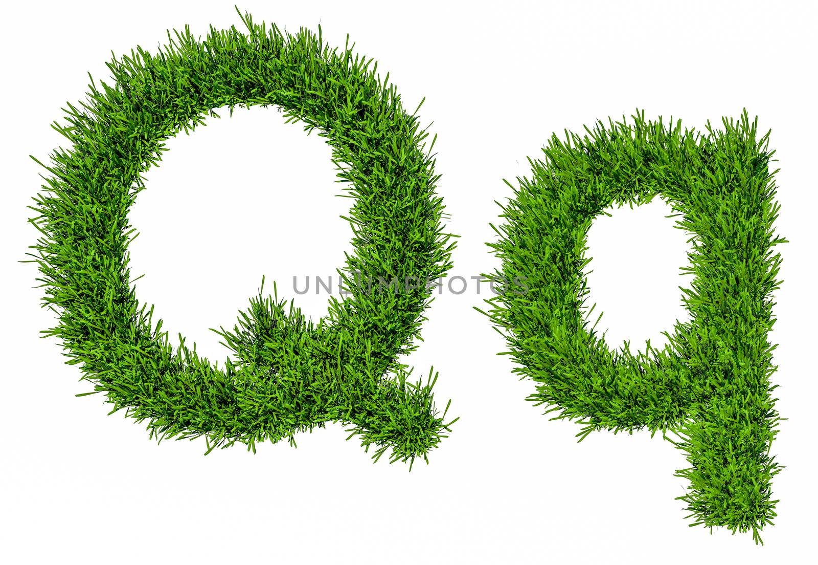 Letter of grass alphabet. Grass letter Q, upper and lowercase. Isolated on white background. 3d illustration