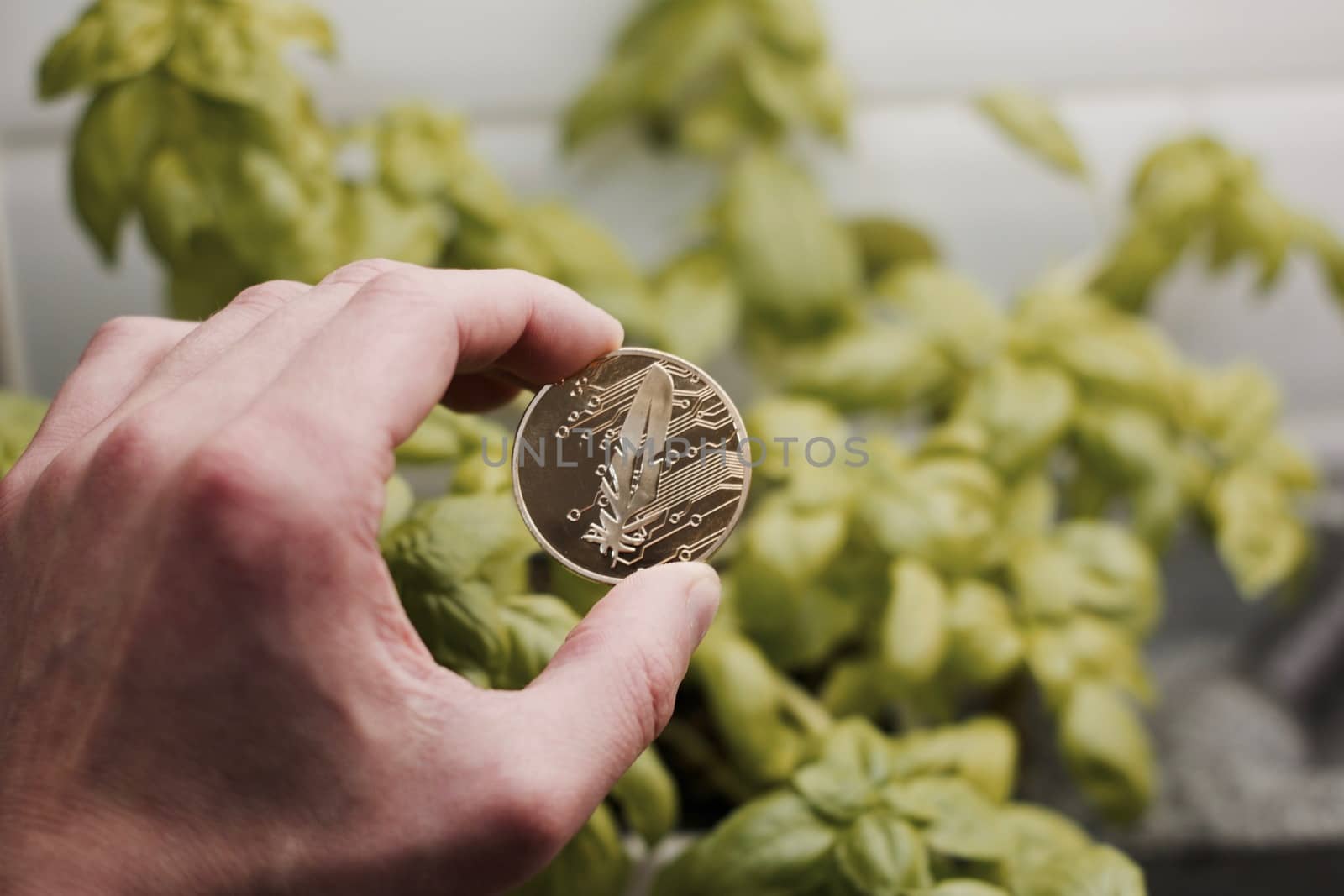 Digital currency physical gold metal feather coin with red heart. Cryptocurrency concept.
