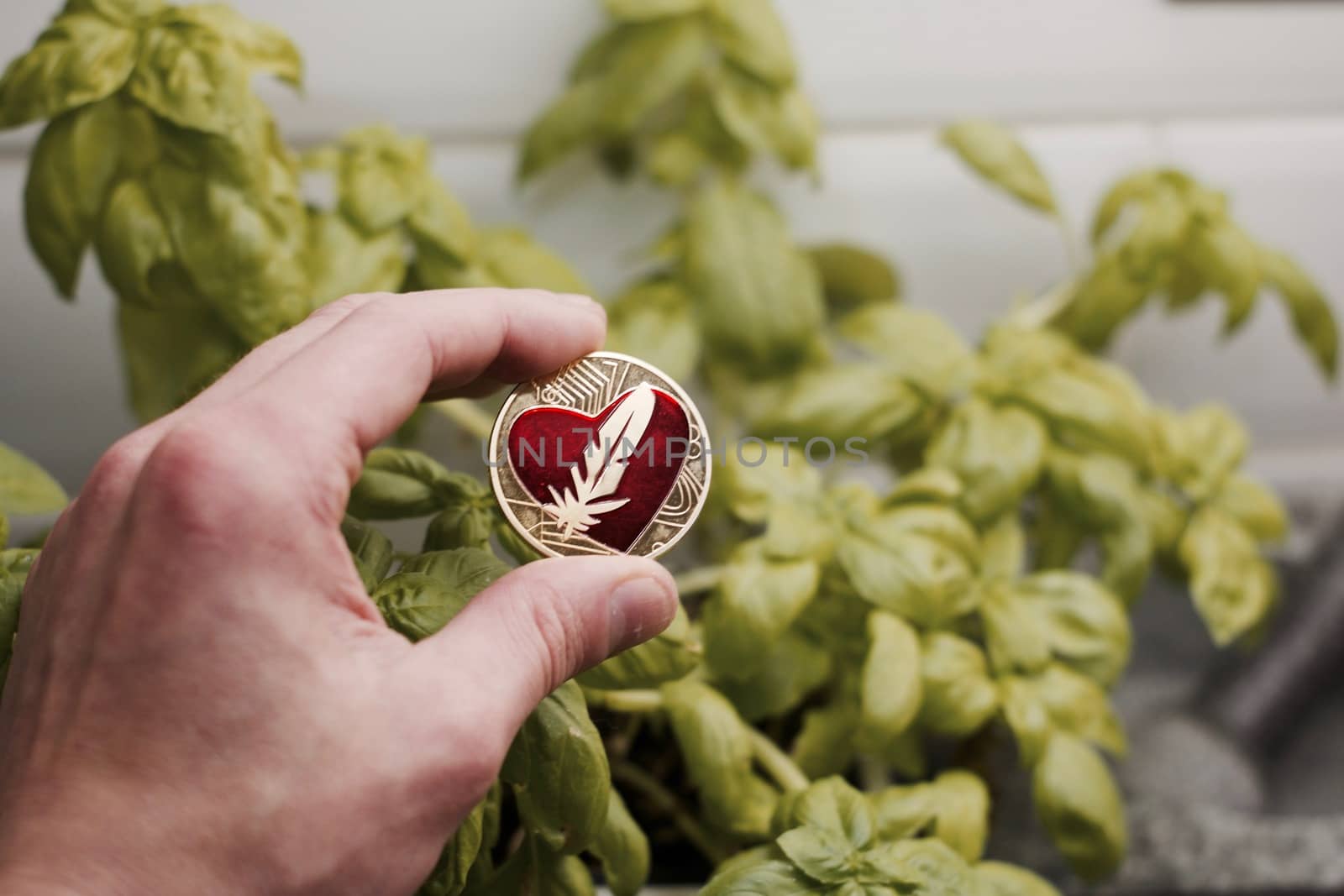 Digital currency physical gold metal feather coin with red heart. Cryptocurrency concept.