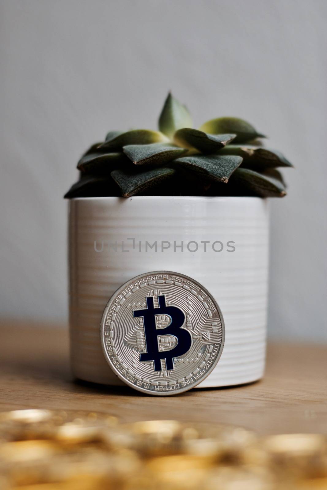 Digital currency physical metal bitcoin coin on the gold money background. Money concept.