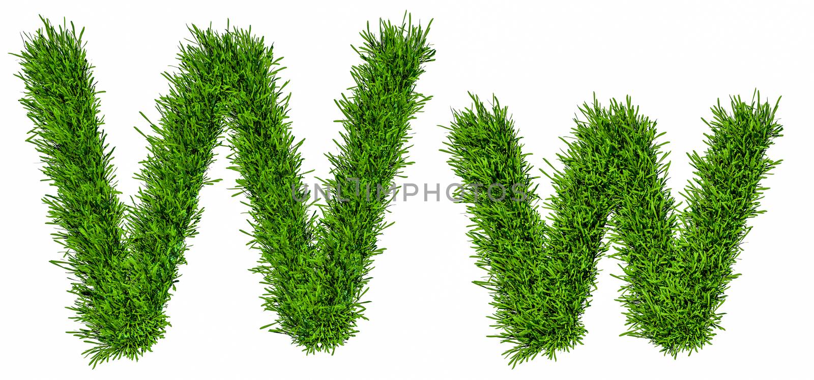 Letter of grass alphabet. Grass letter W, upper and lowercase. Isolated on white background. 3d illustration
