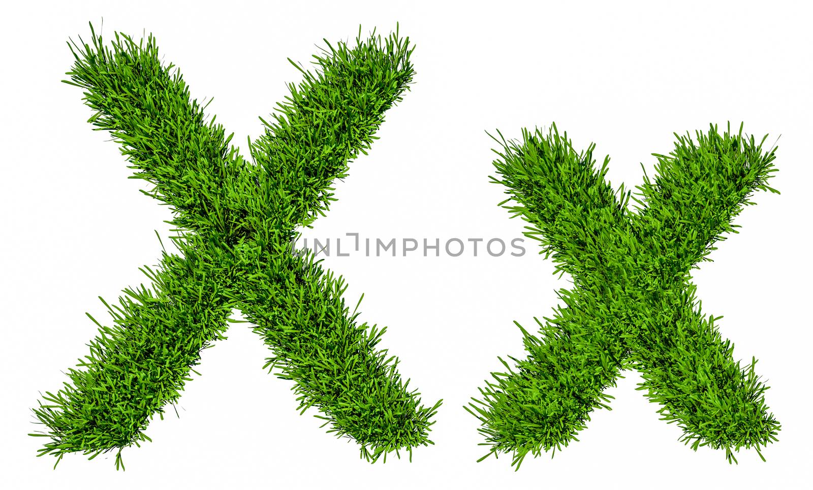 Letter of grass alphabet. Grass letter X, upper and lowercase. Isolated on white background. 3d illustration