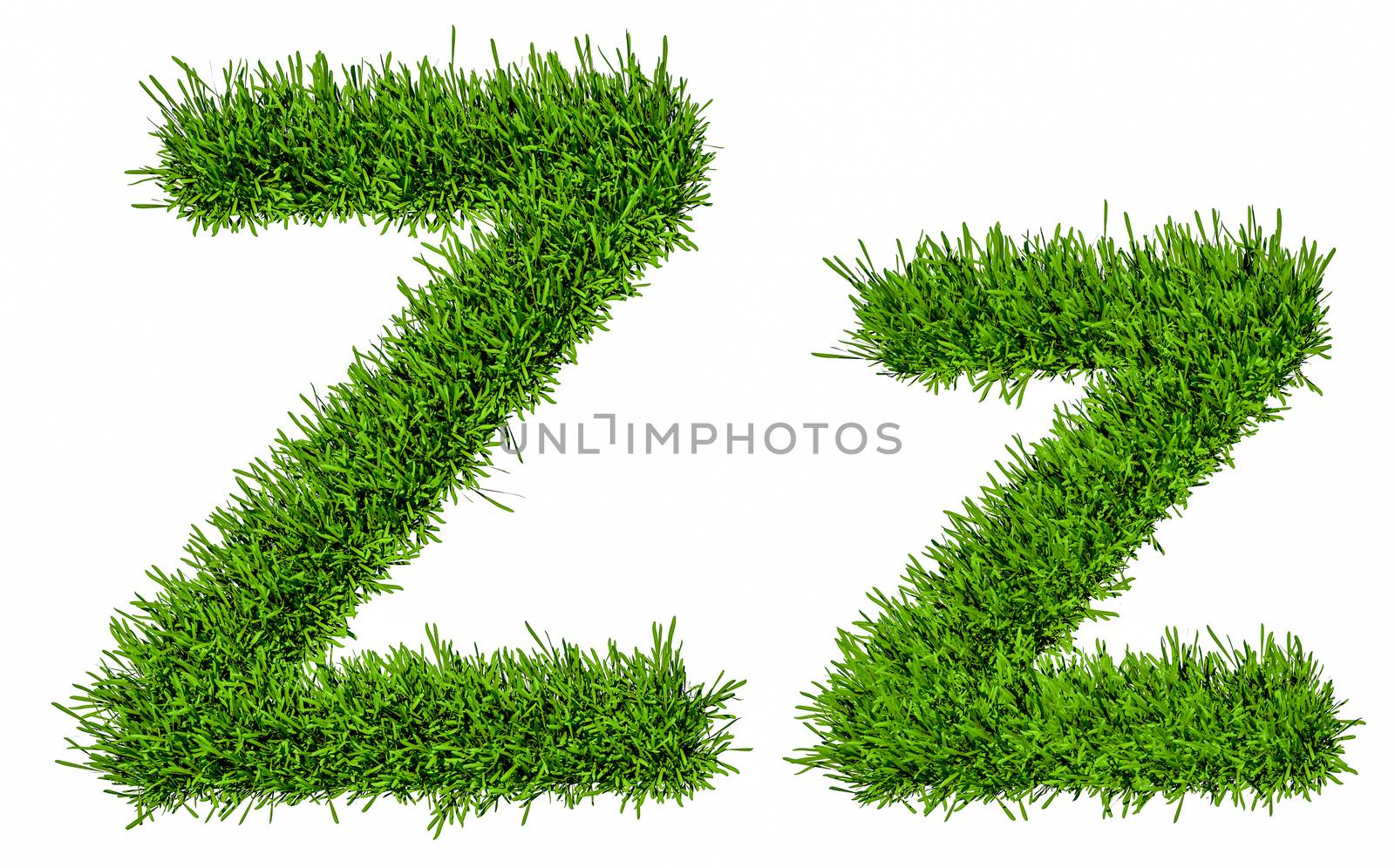 Letter of grass alphabet. Grass letter Z, upper and lowercase. Isolated on white background. 3d illustration